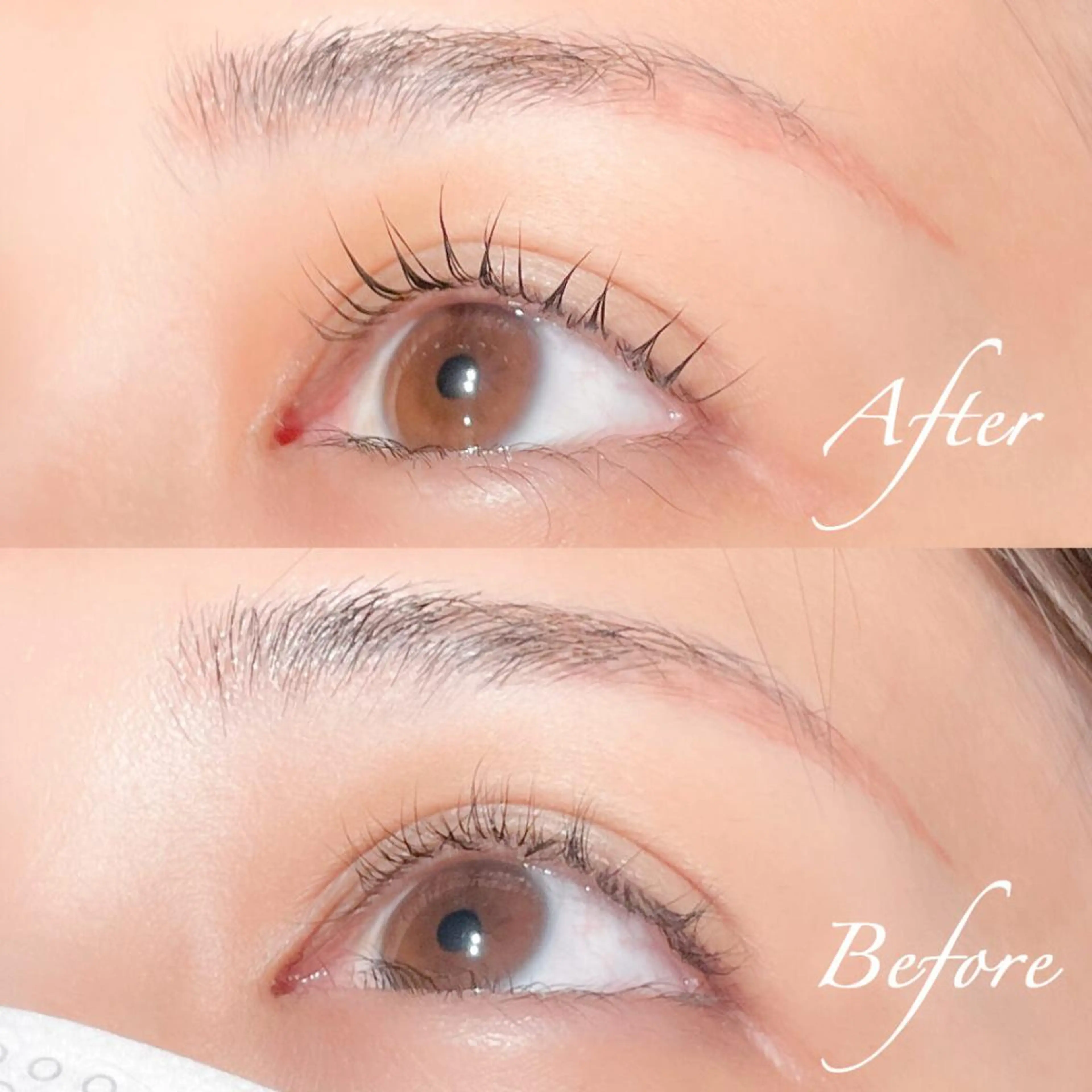 マツエク・マツパ マツパ/マツエク アイリスト　酒井の眉毛・アイブロウイメージ