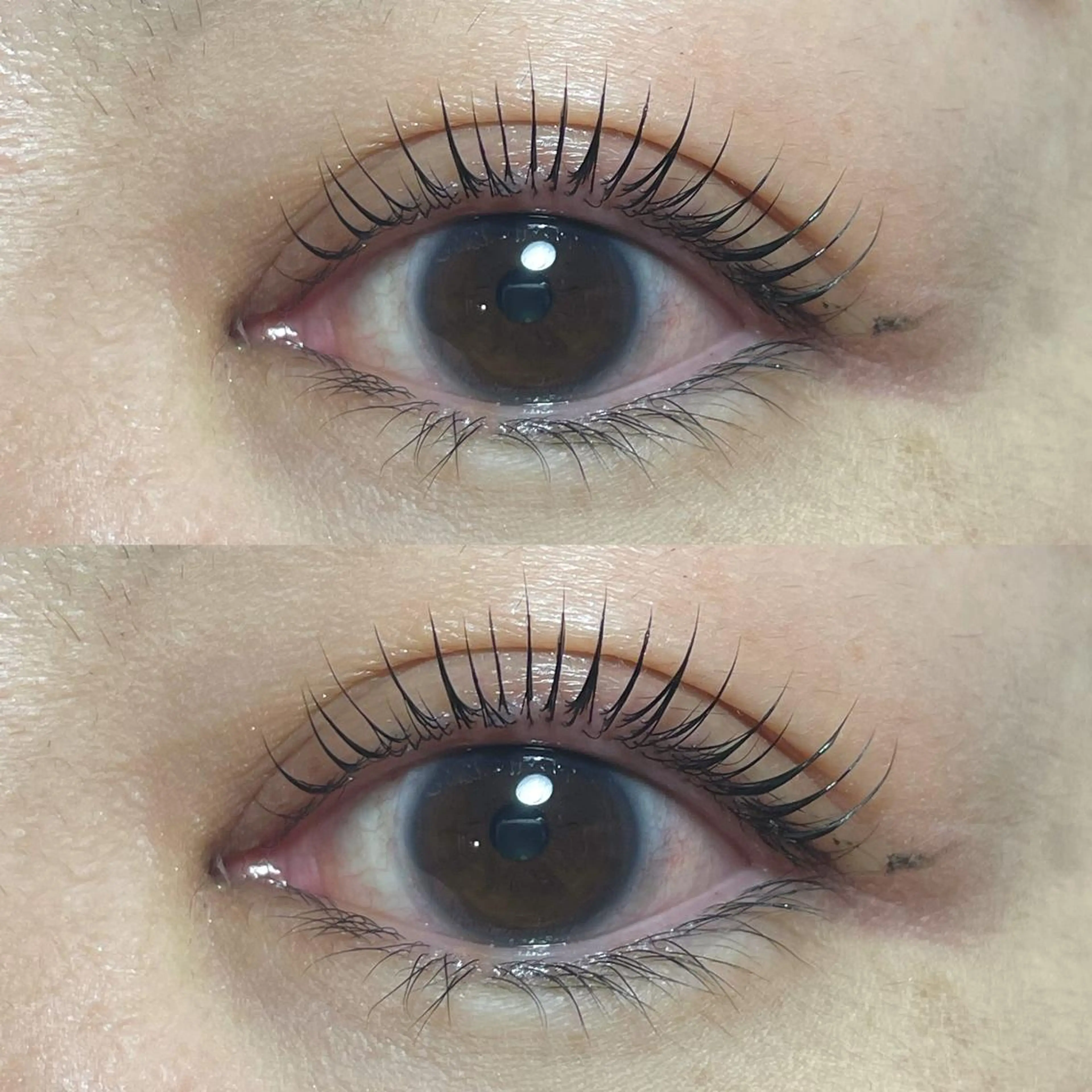 マツエク・マツパ マツパ 向井 萌華の眉毛・アイブロウイメージ