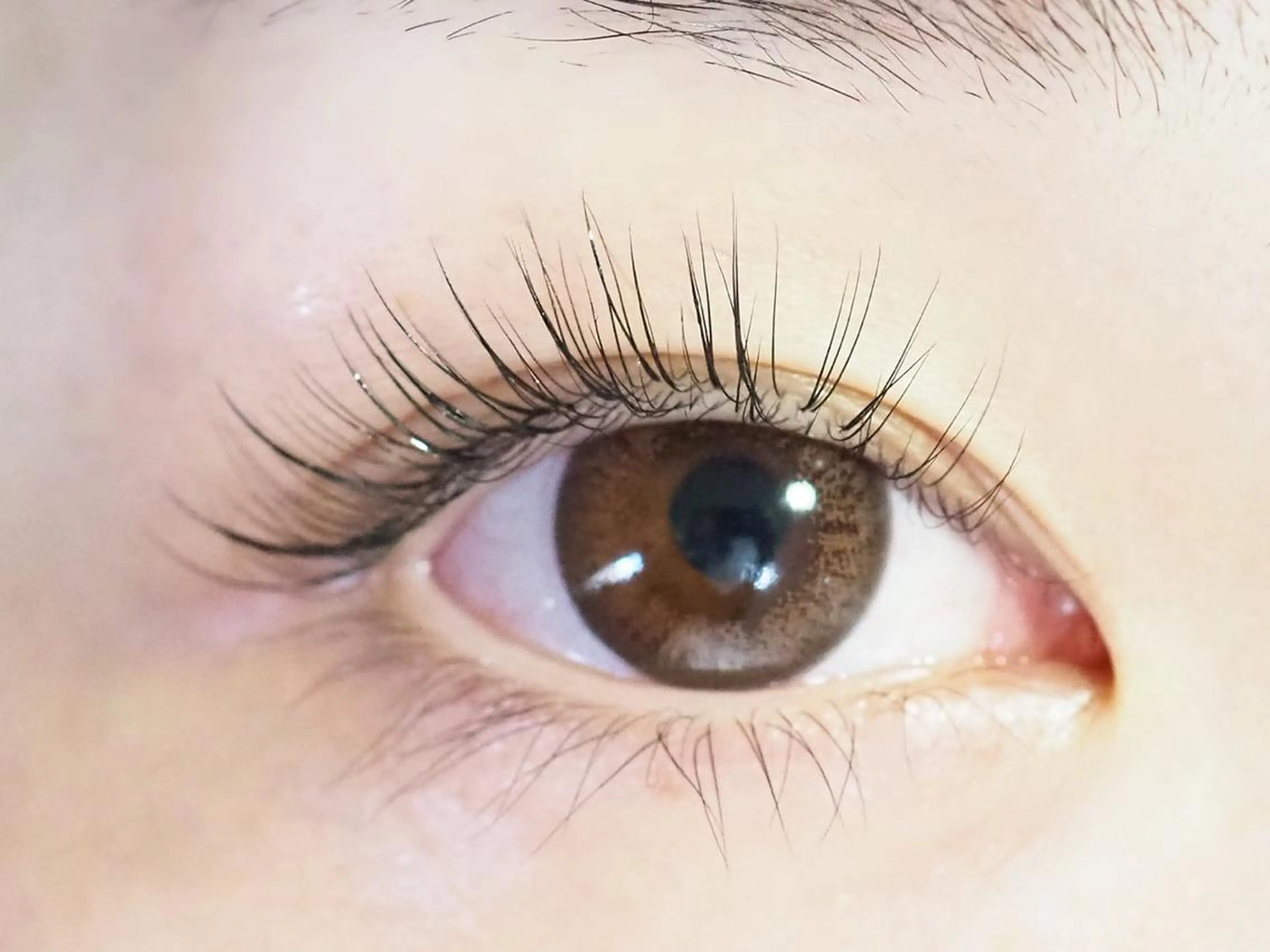 【練習モデル様】マツエク100​〜​120本　★注意事項を必ずご確認ご了承の上お申し込みください★の写真