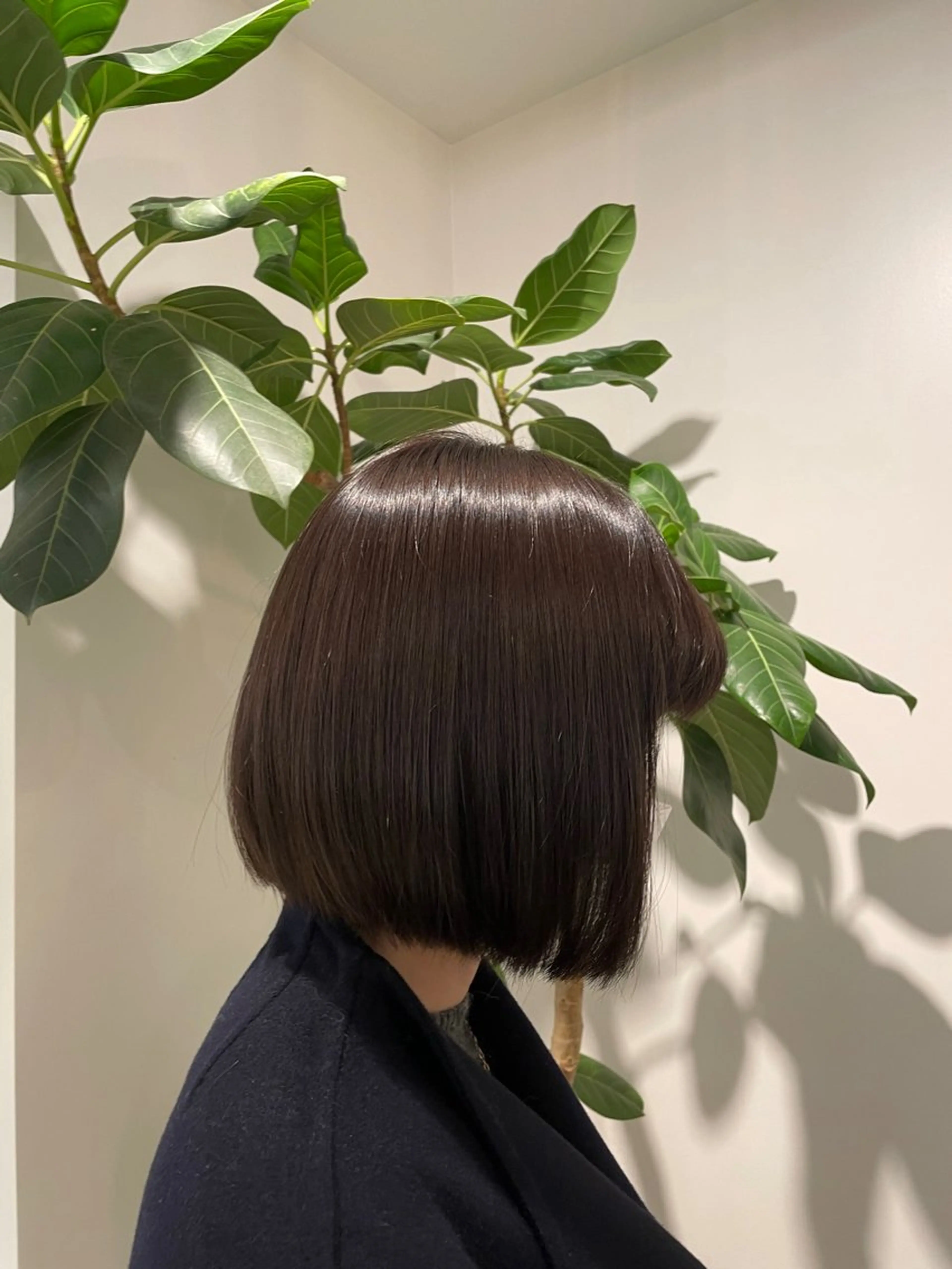 ショート カラー ブラウンカラー ダークブラウン Euphoria 銀座店所属・Euphoria 銀座 みおこのヘアスタイル