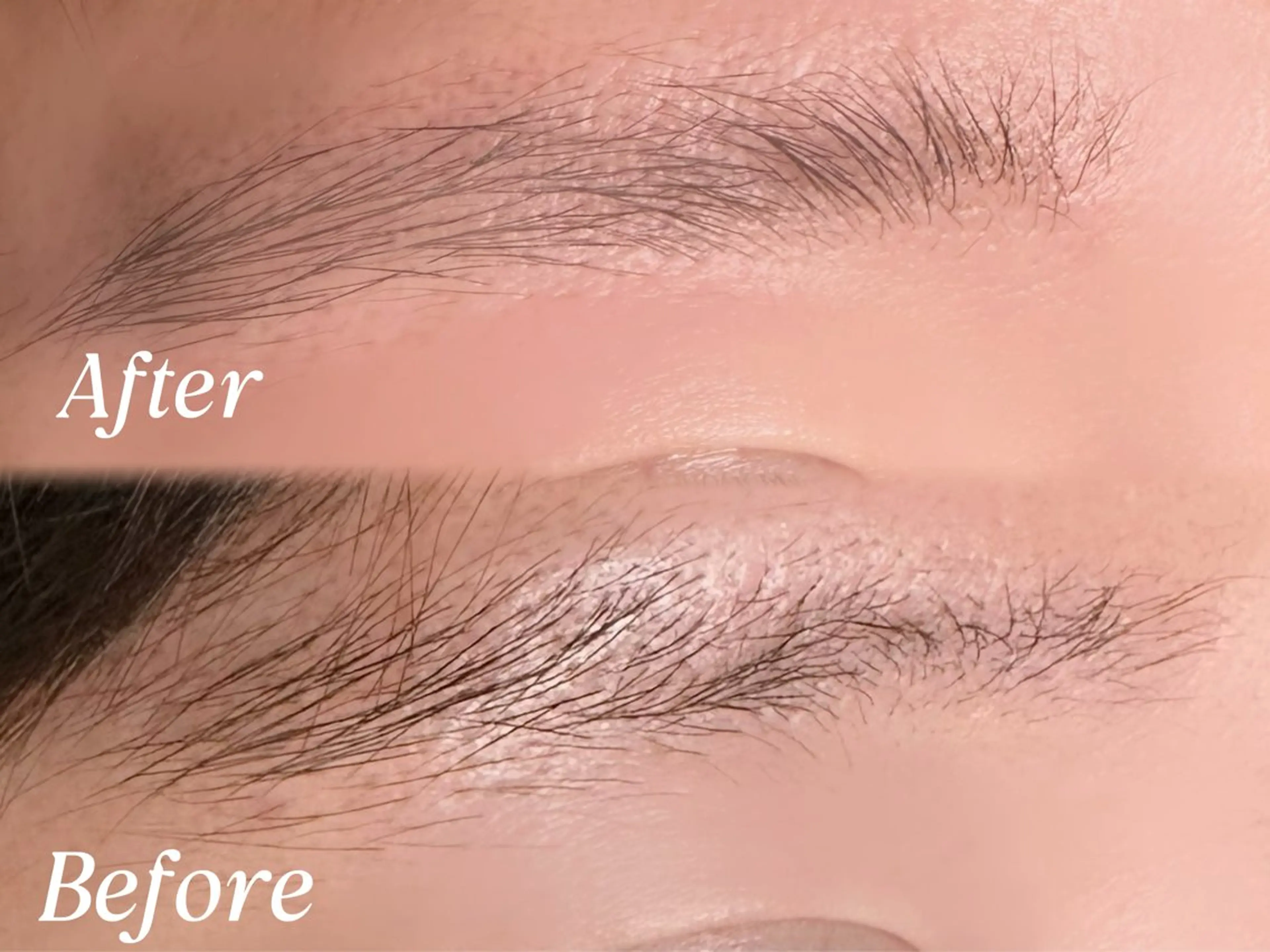 ハリウッドブロウリフトの写真