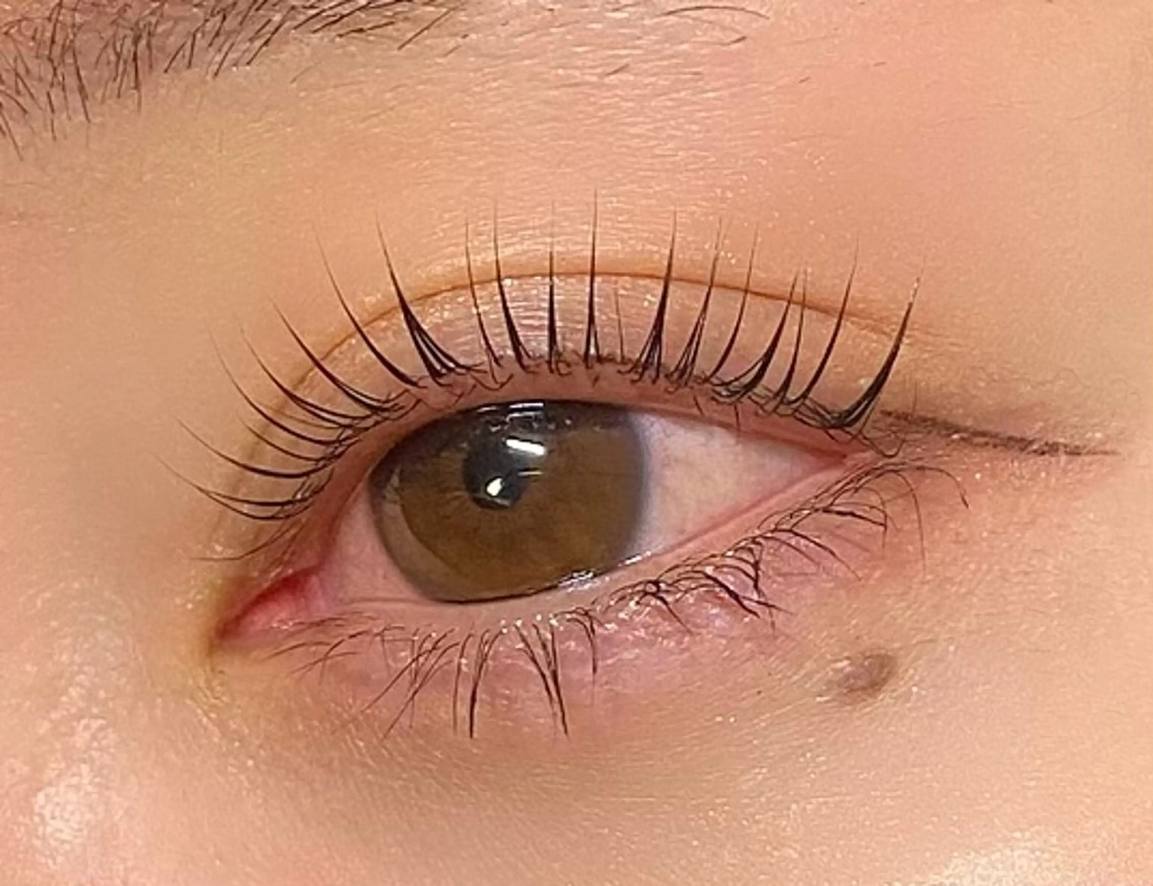 マツエク・マツパ パリジェンヌラッシュリフト Nao店長 /ルヴォルテ大須のマツエク・マツパデザイン