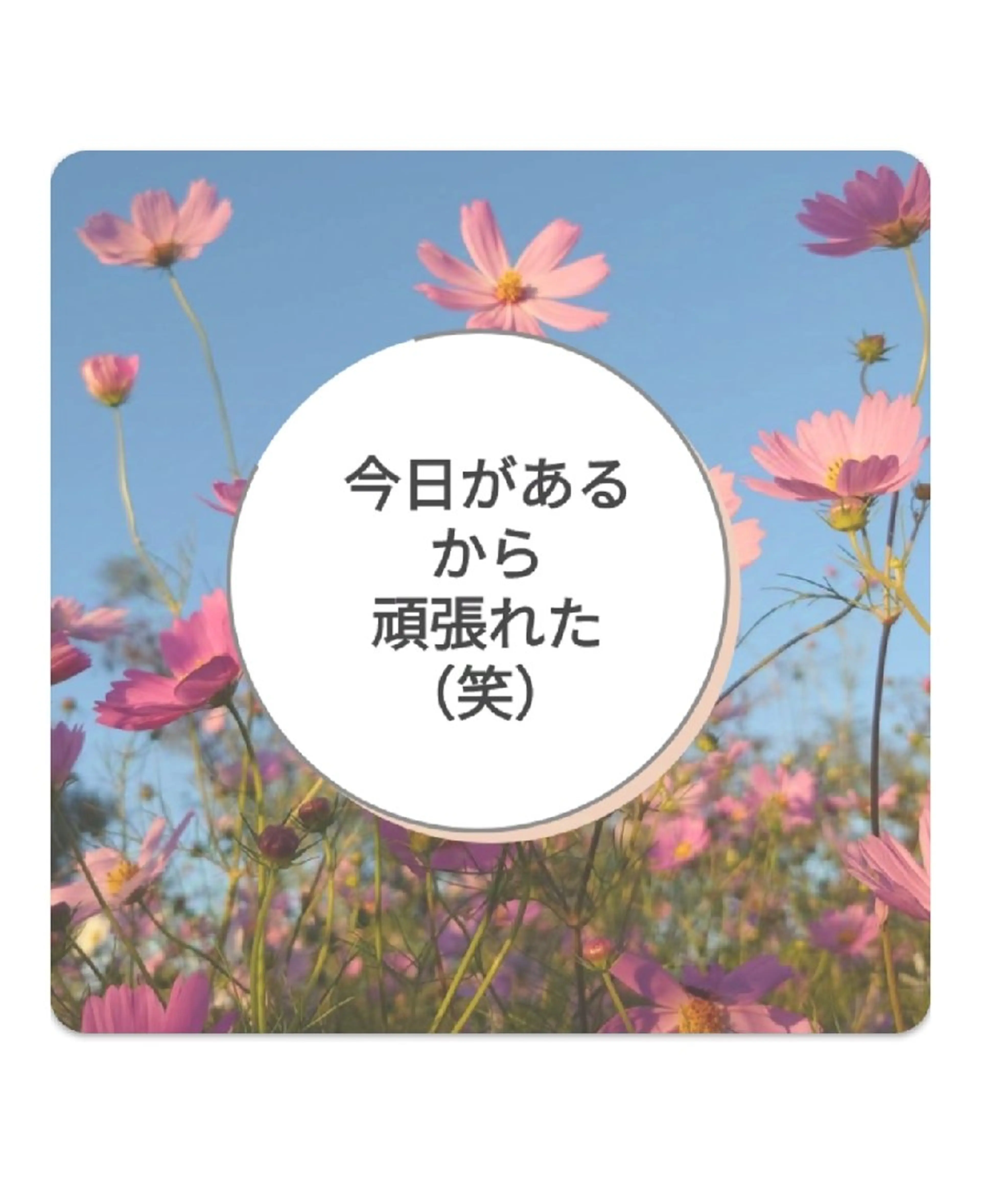 錦糸町 ハッピーウーマンのマツエク・マツパデザイン