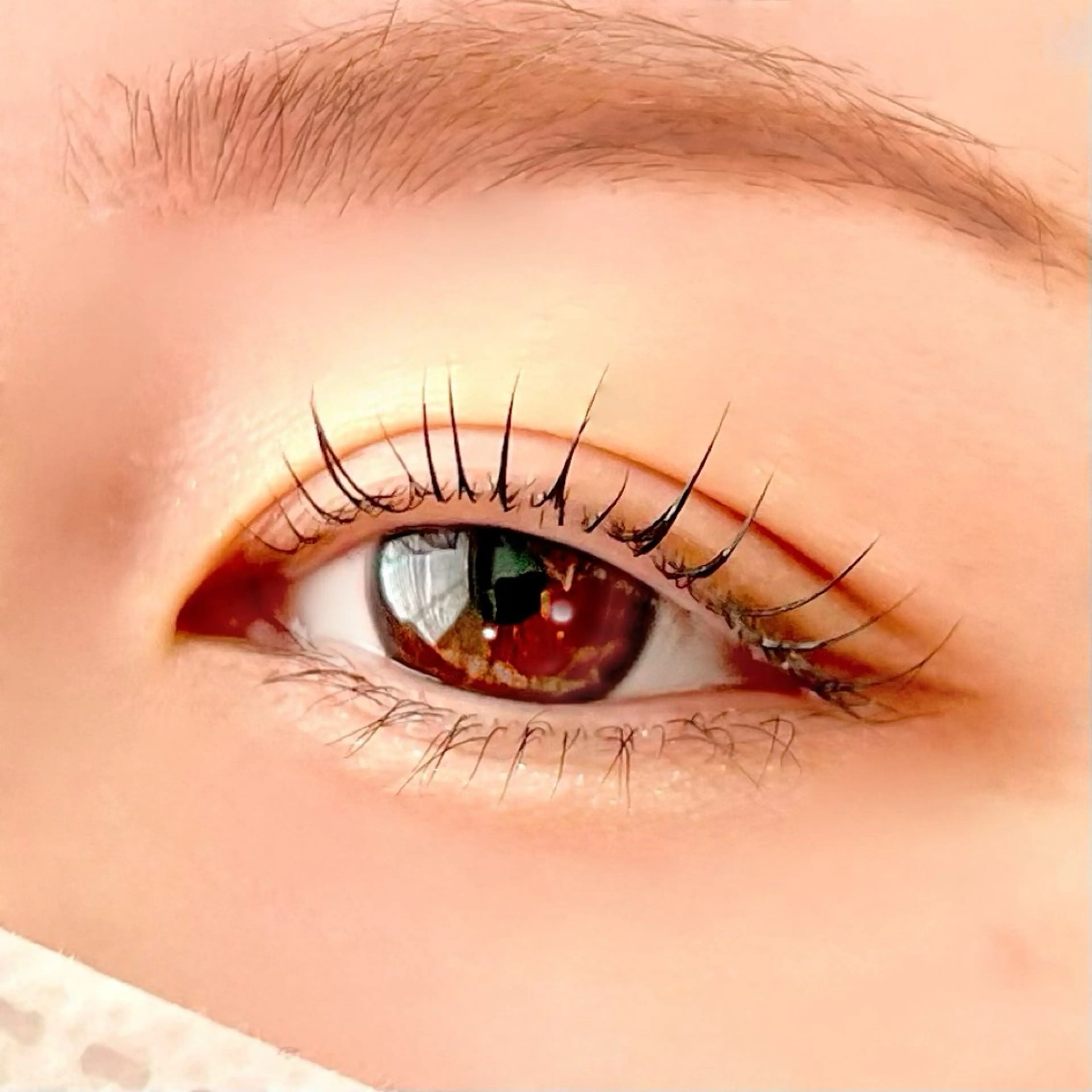 ☺︎ 特別価格 ☺︎ コスメティックラッシュパーマ(上) ¥3850の写真