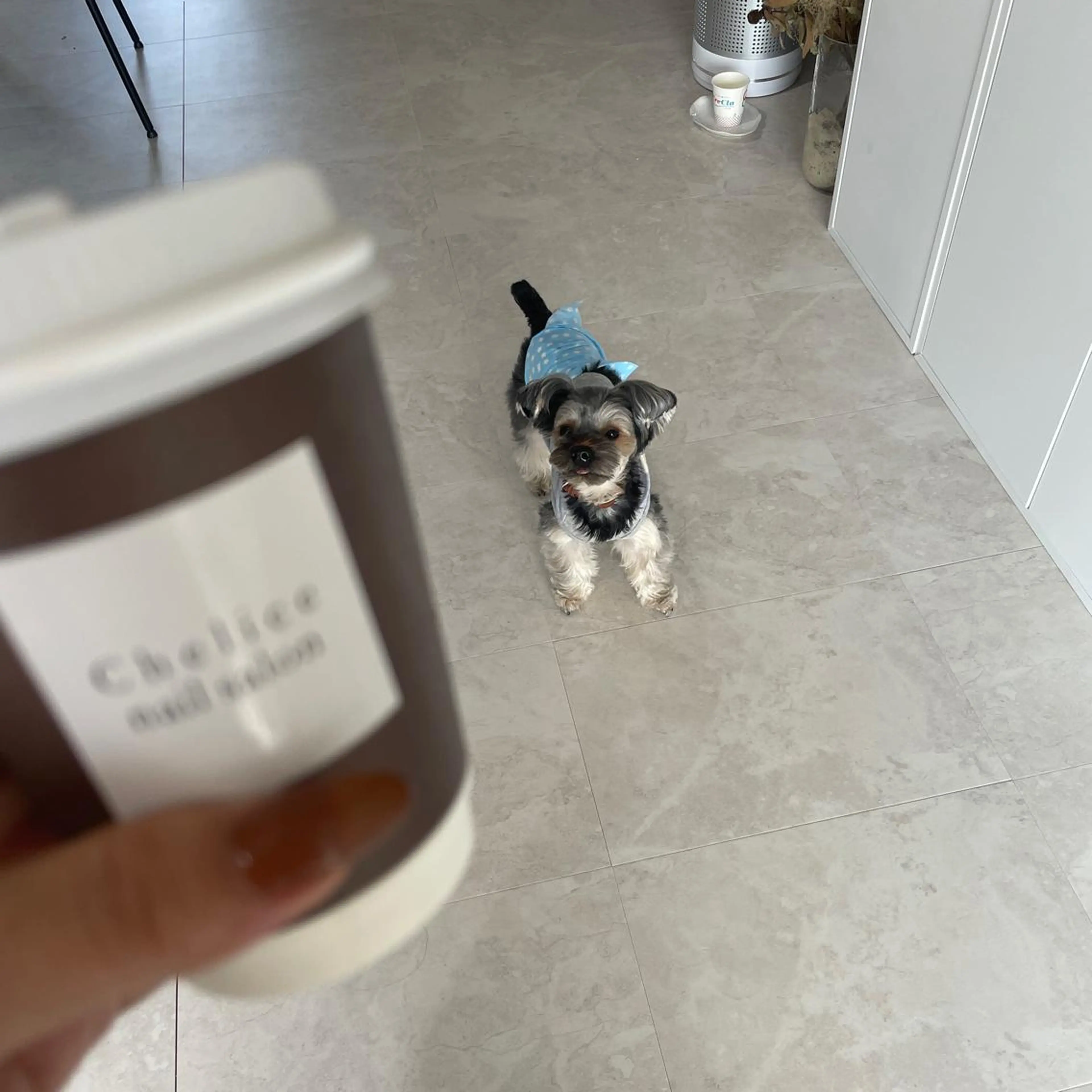 ネイル Chelice nailのネイルデザイン