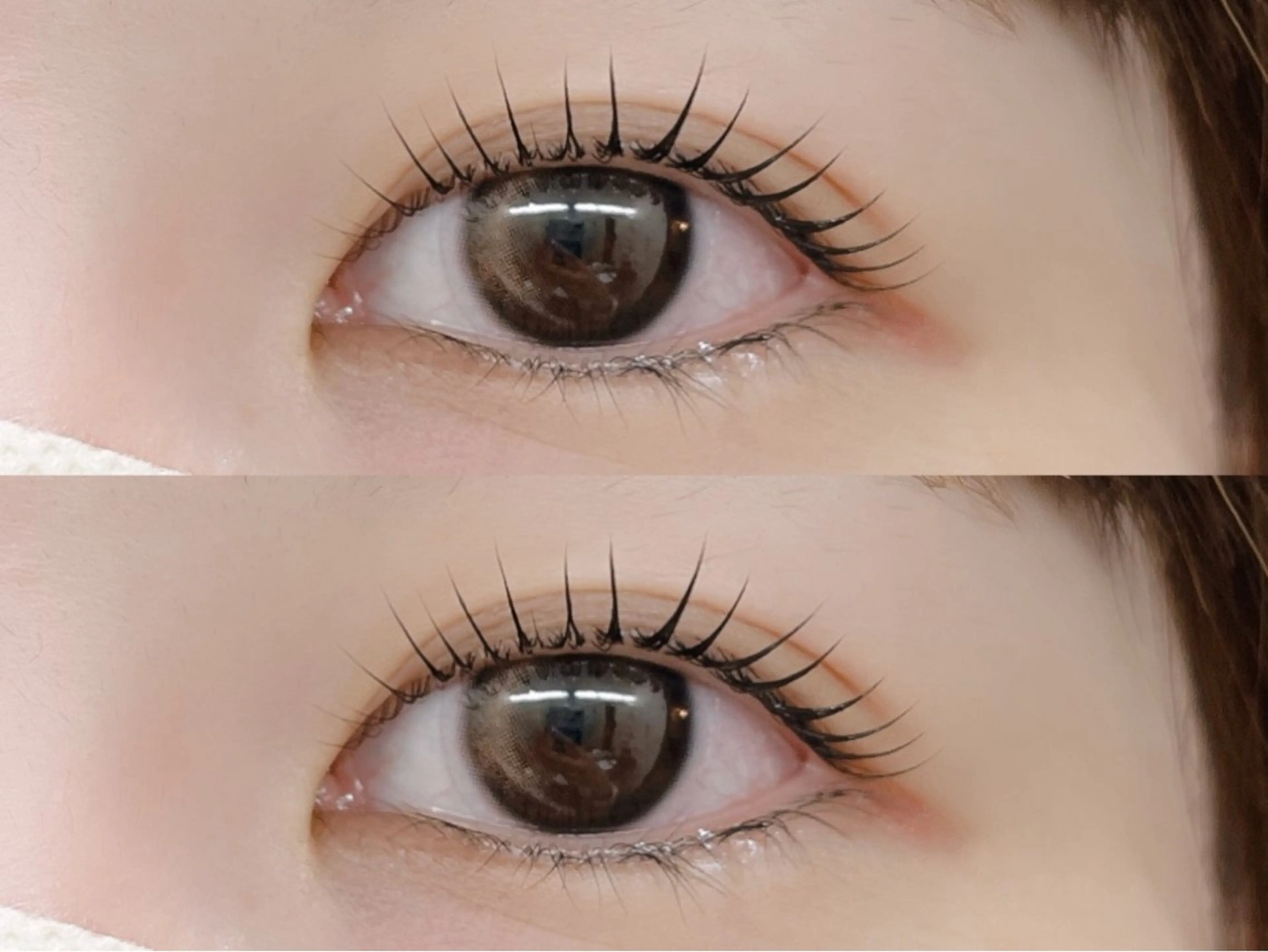 【人気No.3】ラッシュリフト（まつ毛パーマ）🌿上or下のみ￥7,150→￥4,800の写真