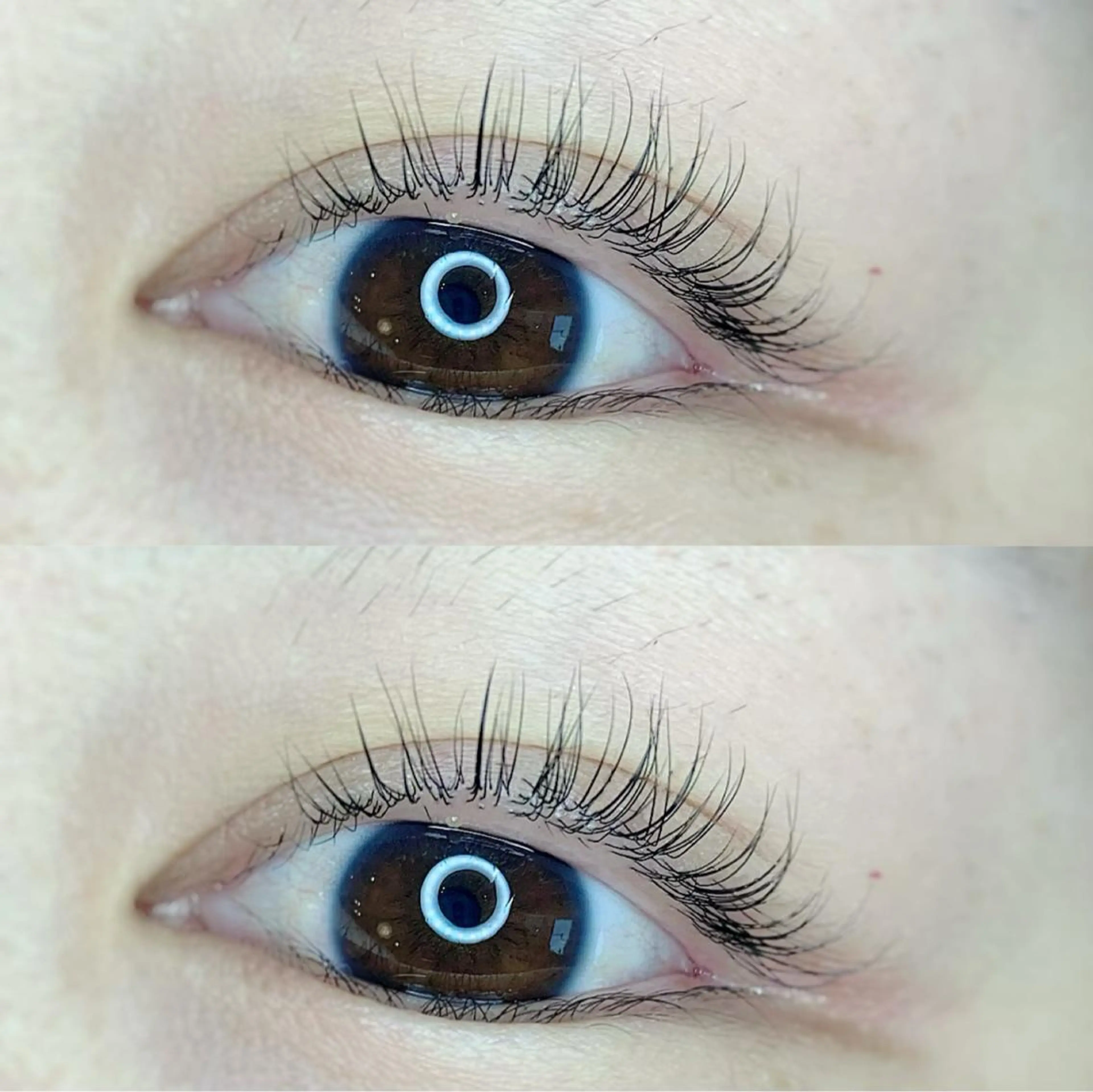 マツエク・マツパ まつ毛パーマ専門プライベートサロンEmmy(エミー)所属・saki🌷 Emmyのマツエク・マツパデザイン