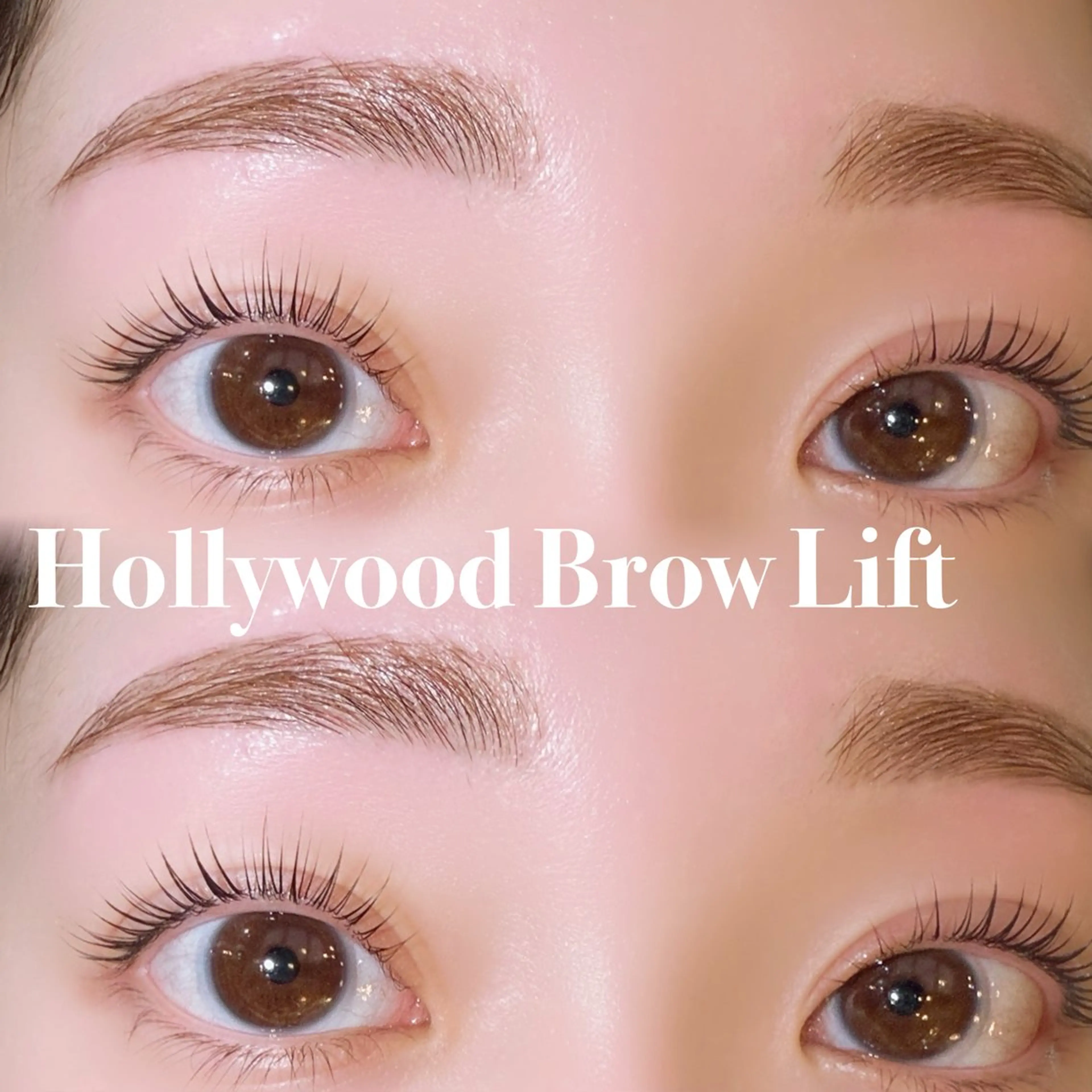 ハリウッドブロウリフトモデル🌼の写真