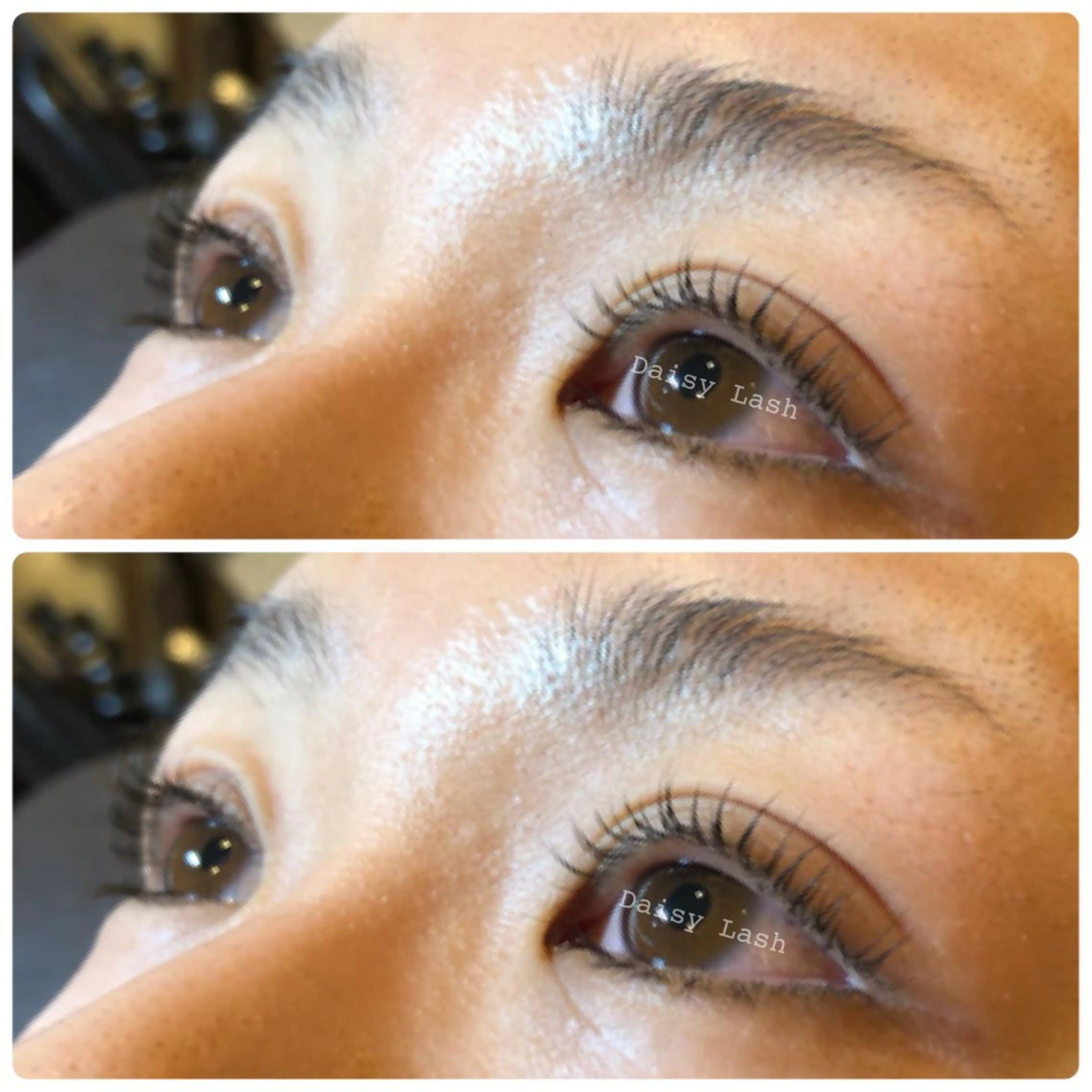 マツエク・マツパ まつげパーマ Daisy Lash 梅田本店のマツエク・マツパデザイン