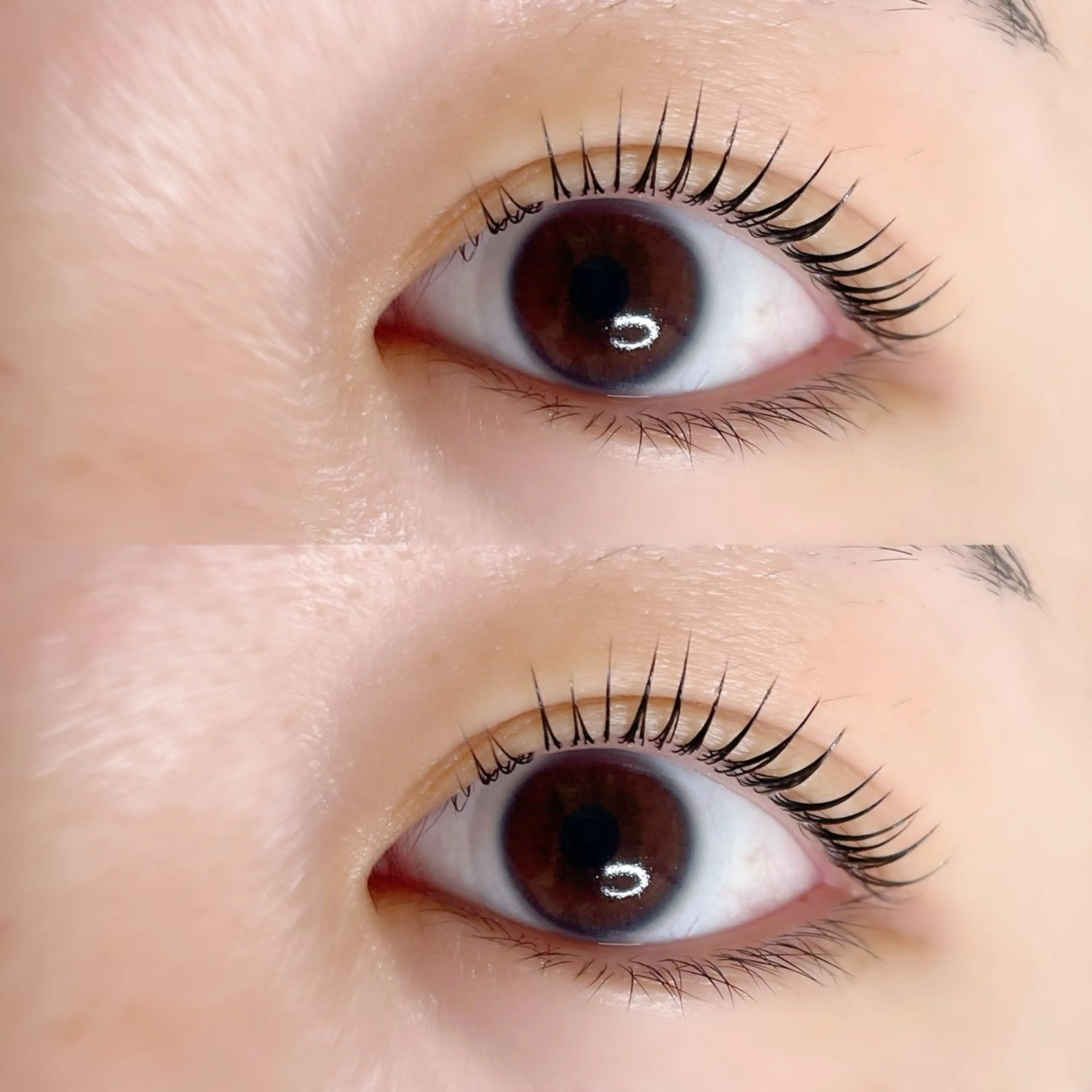 マツエク・マツパ アイブロウサロン WHITE EYE 岩出 眉毛専門店【ホワイトアイ】所属・WHITE EYE🫧岩出店のマツエク・マツパデザイン