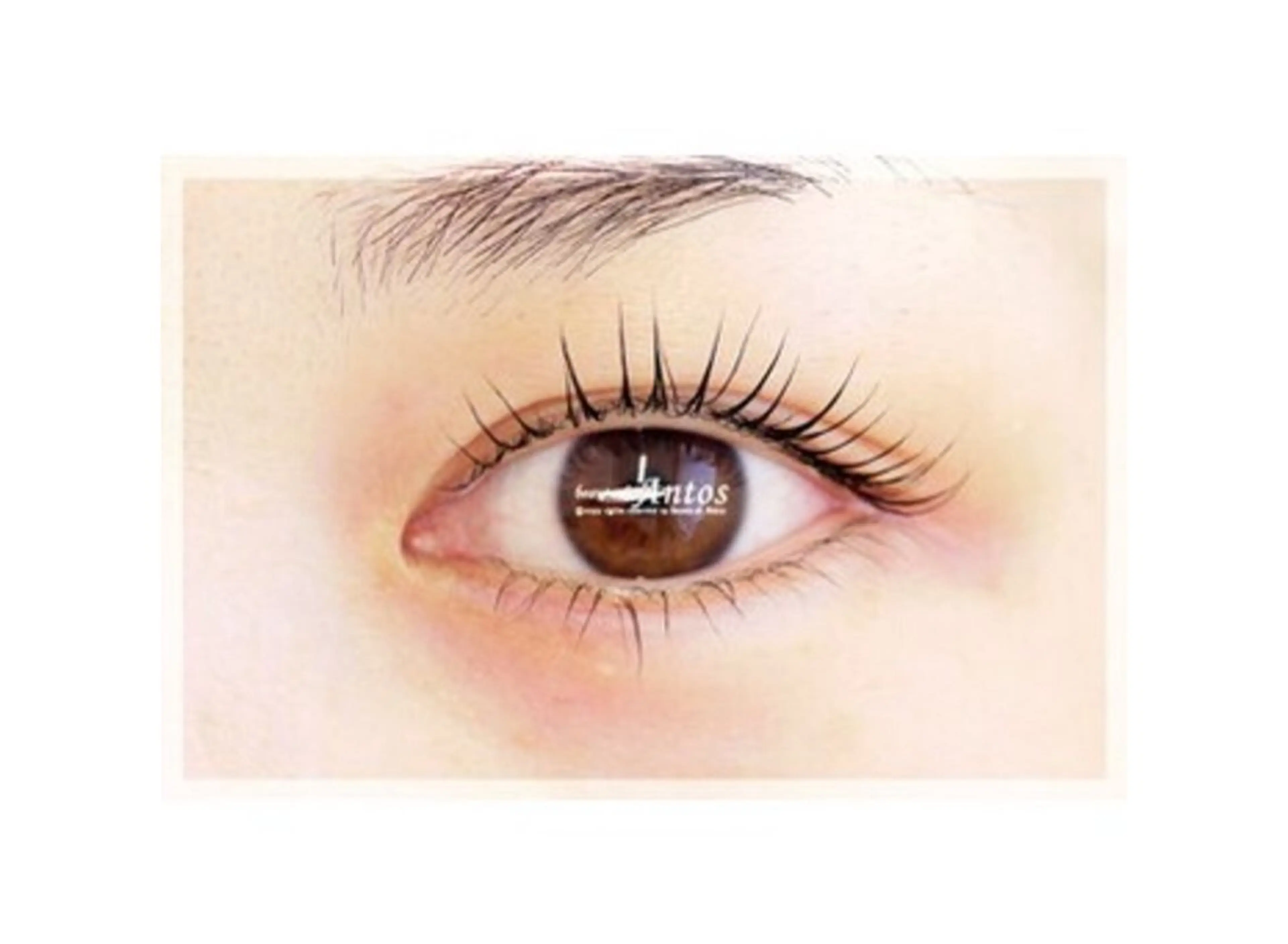 【再来★上or下まつげパーマ】＊ご来店歴のある方で口コミ投稿された方の写真