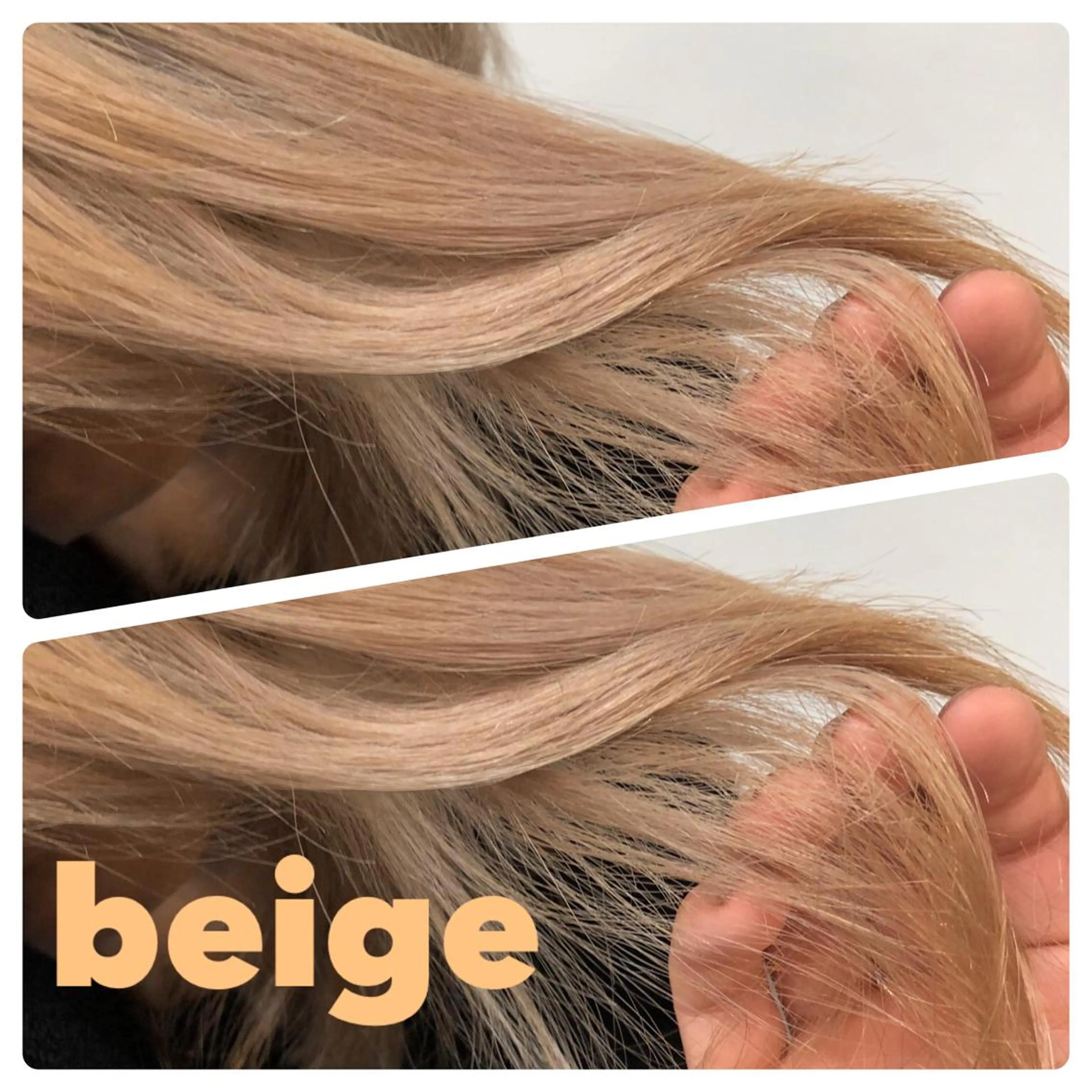 ミディアム カラー 🎨絶対に褒められる "店長"鈴木貴彦🎨のヘアスタイル