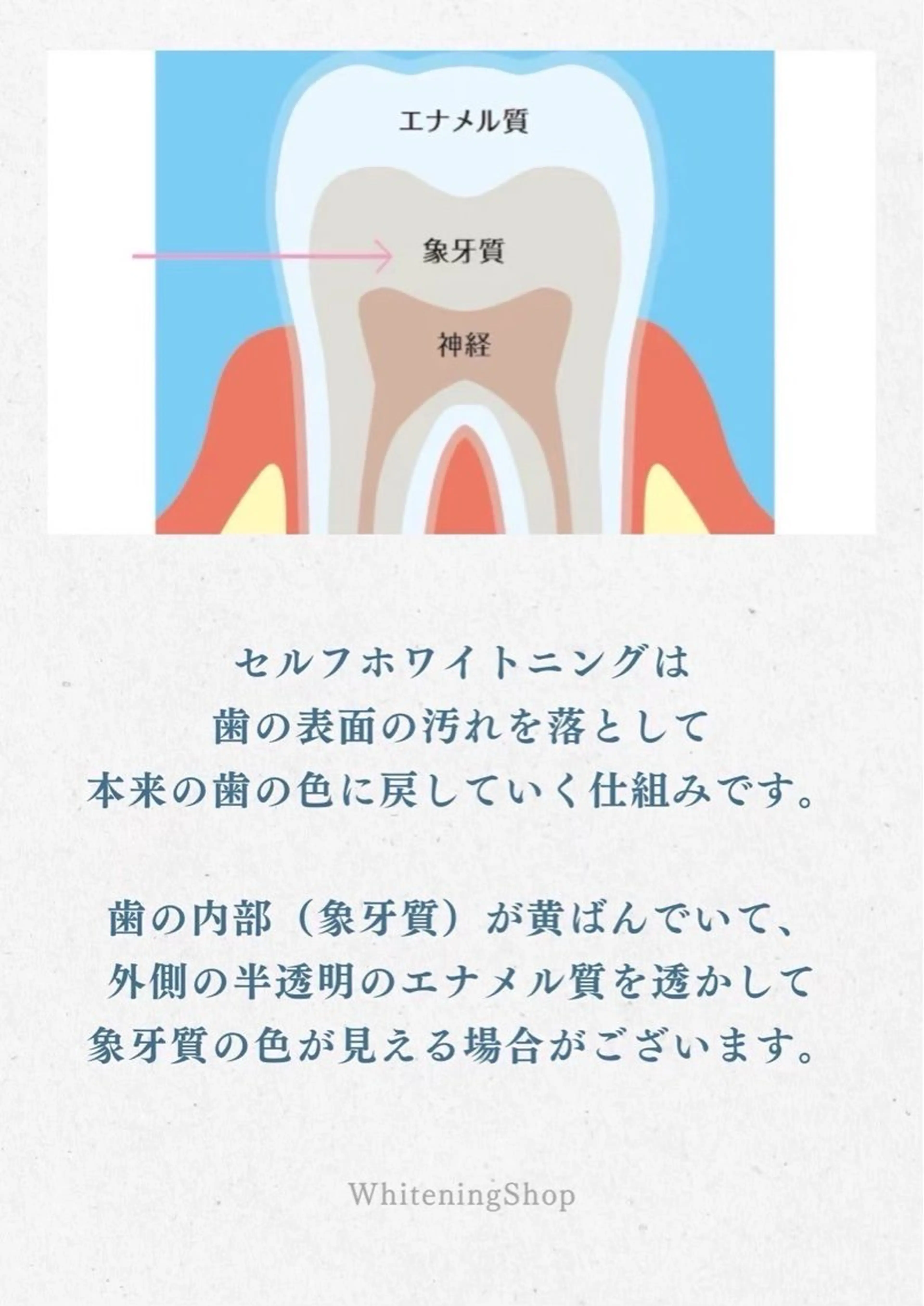 ホワイトニングショップ静岡葵区店所属・ホワイトニング ショップ葵区静岡駅店のその他イメージ