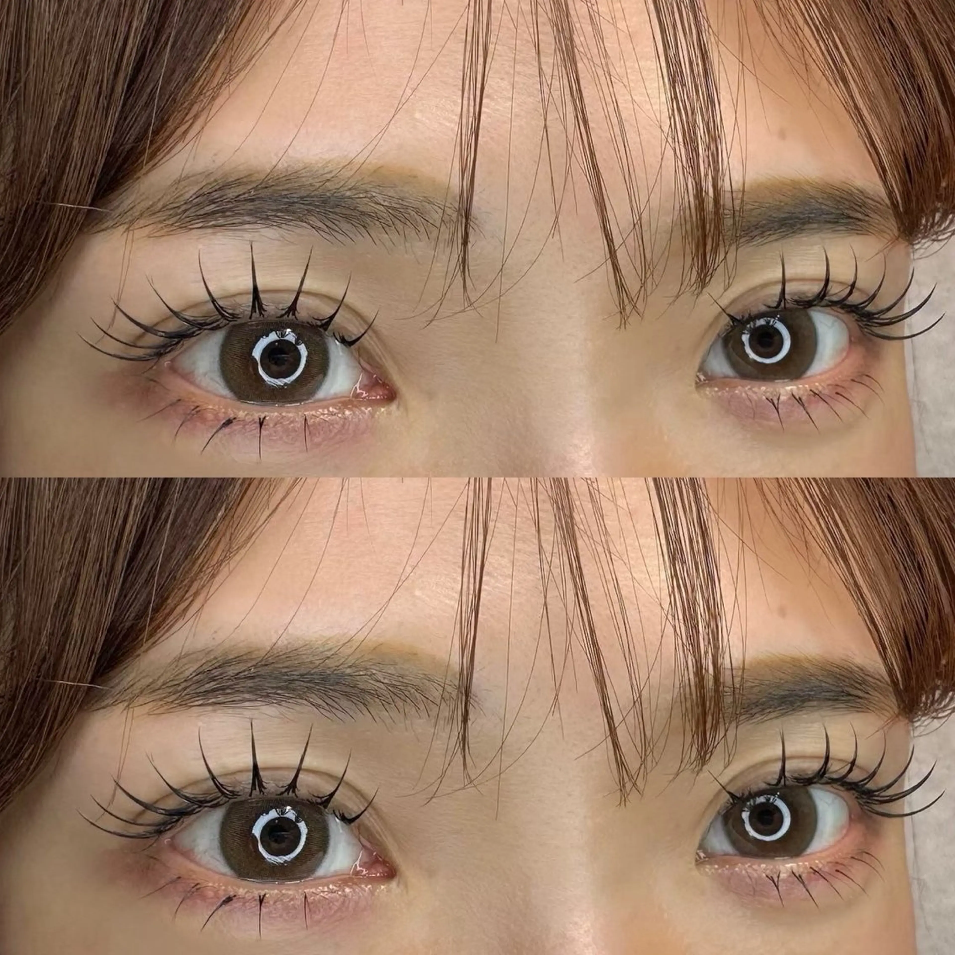 &healthy バインドロック 80束の写真