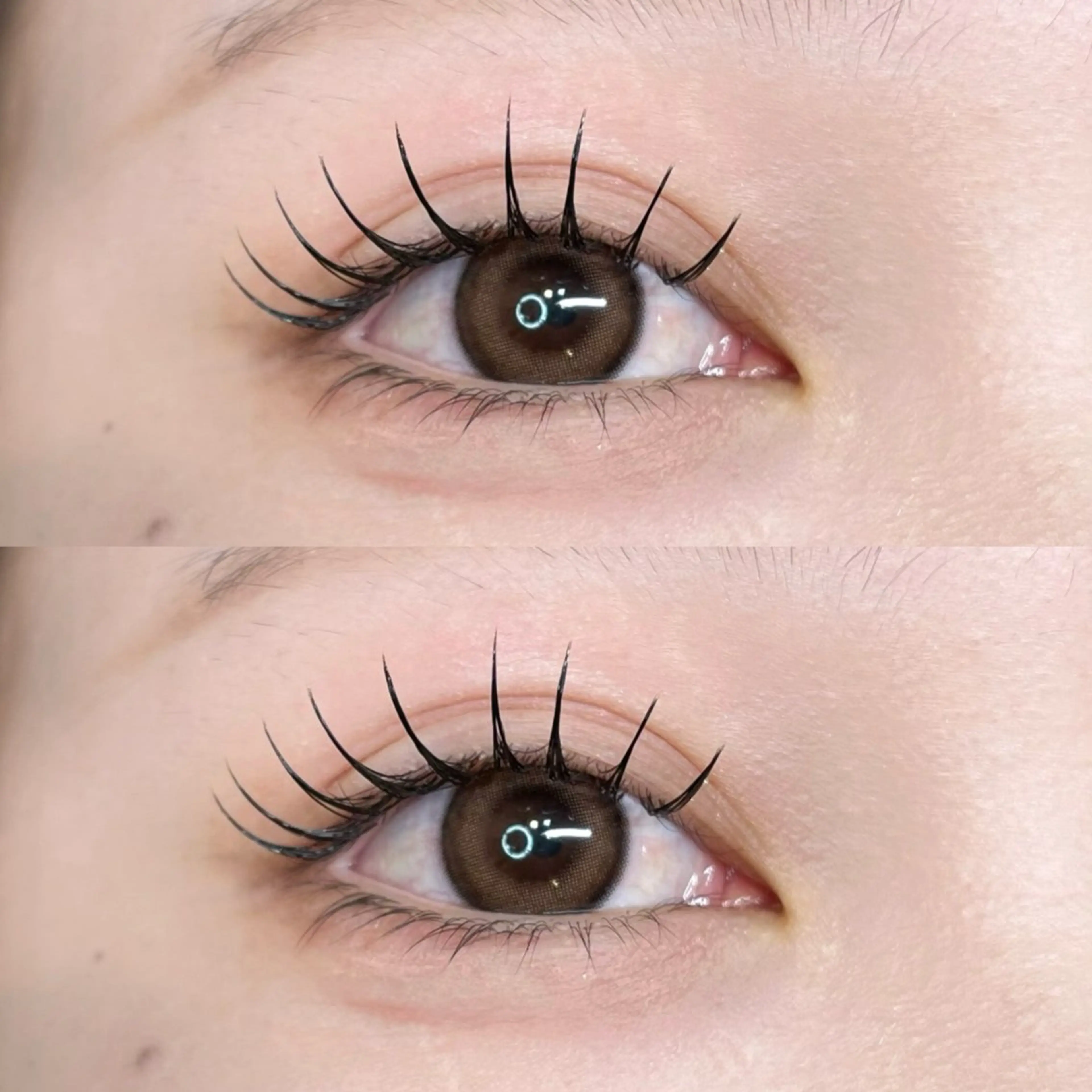 マツエク・マツパ Cカール anri / 寝屋川のマツエク・マツパデザイン