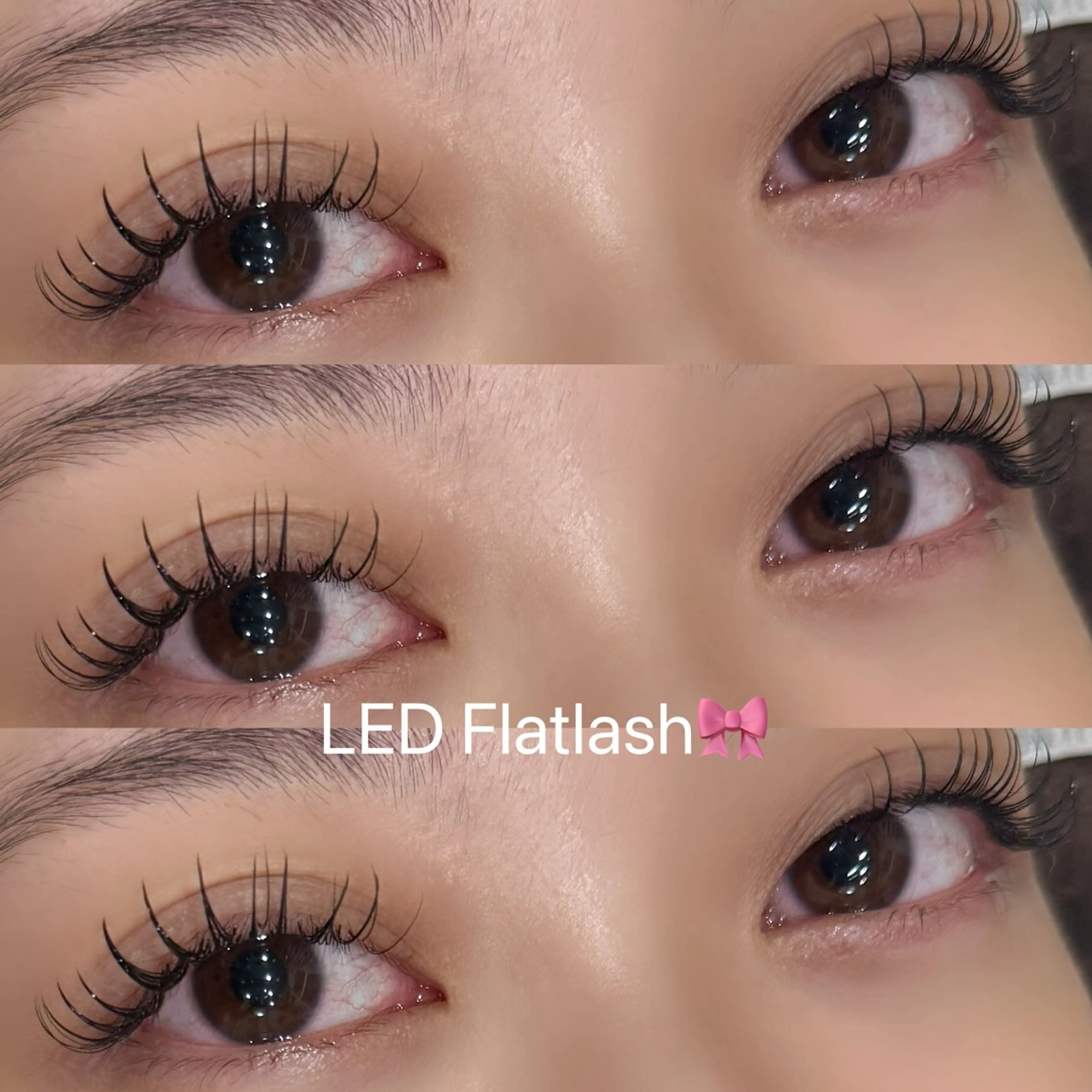 オフなしの方限定🪄LED Dollyボリューム100​〜​120束🎀の写真