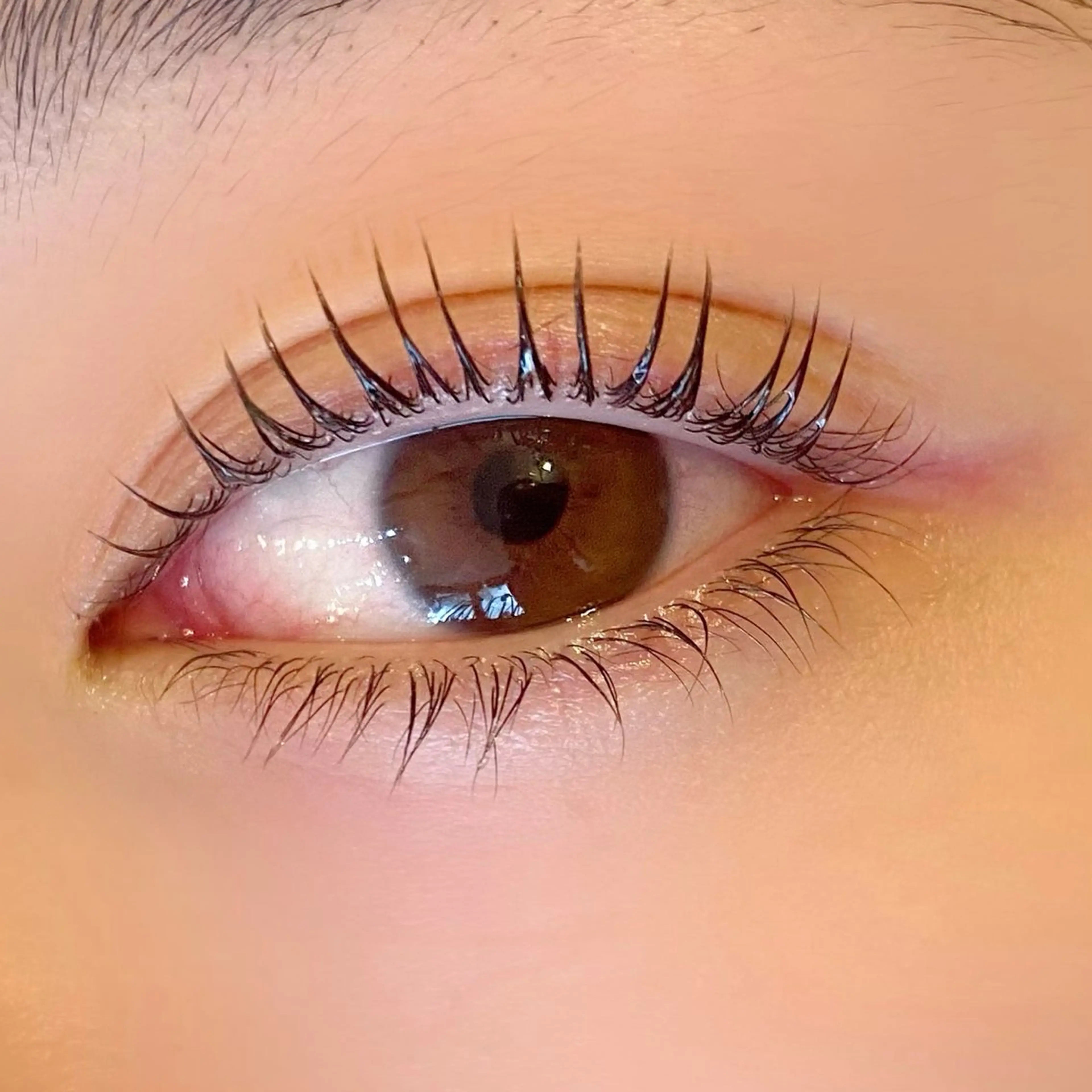 マツエク・マツパ パリジェンヌラッシュリフト Butterfly川崎店所属・Butterfly 有薗の眉毛・アイブロウイメージ