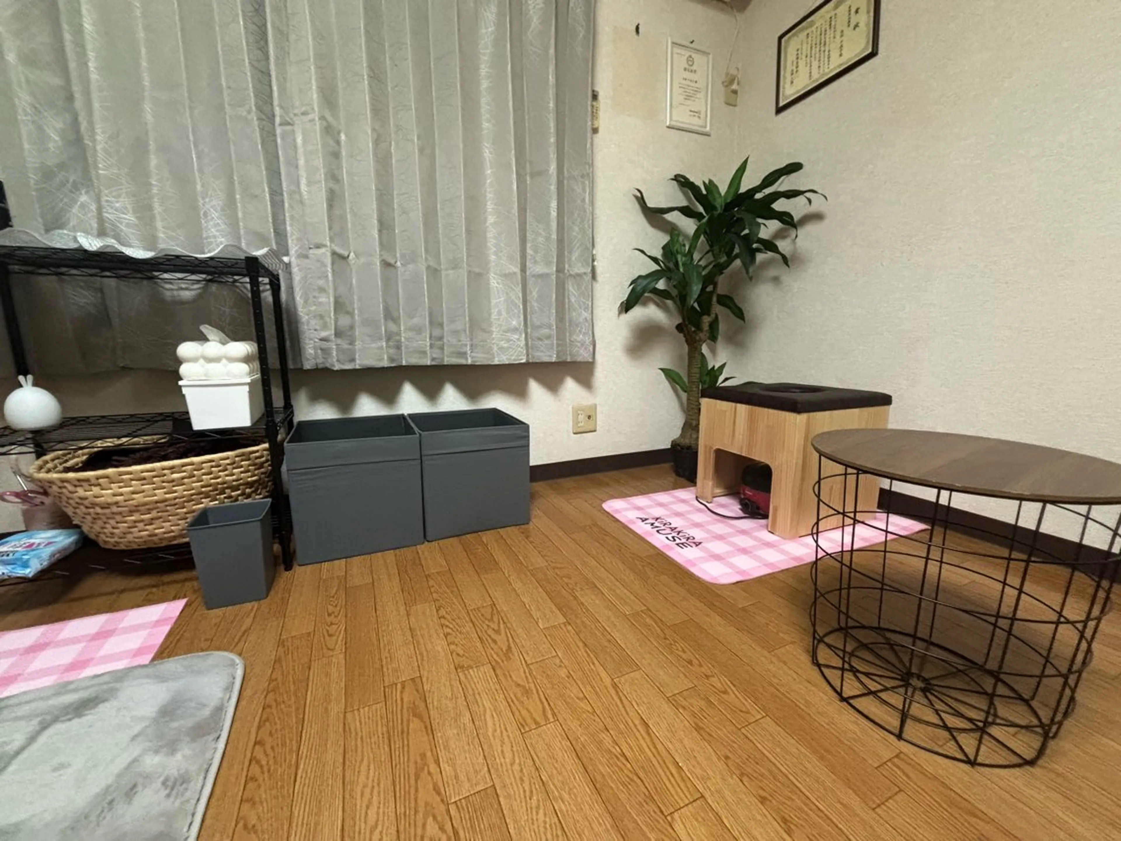 オーガニックよもぎ蒸し50分の写真