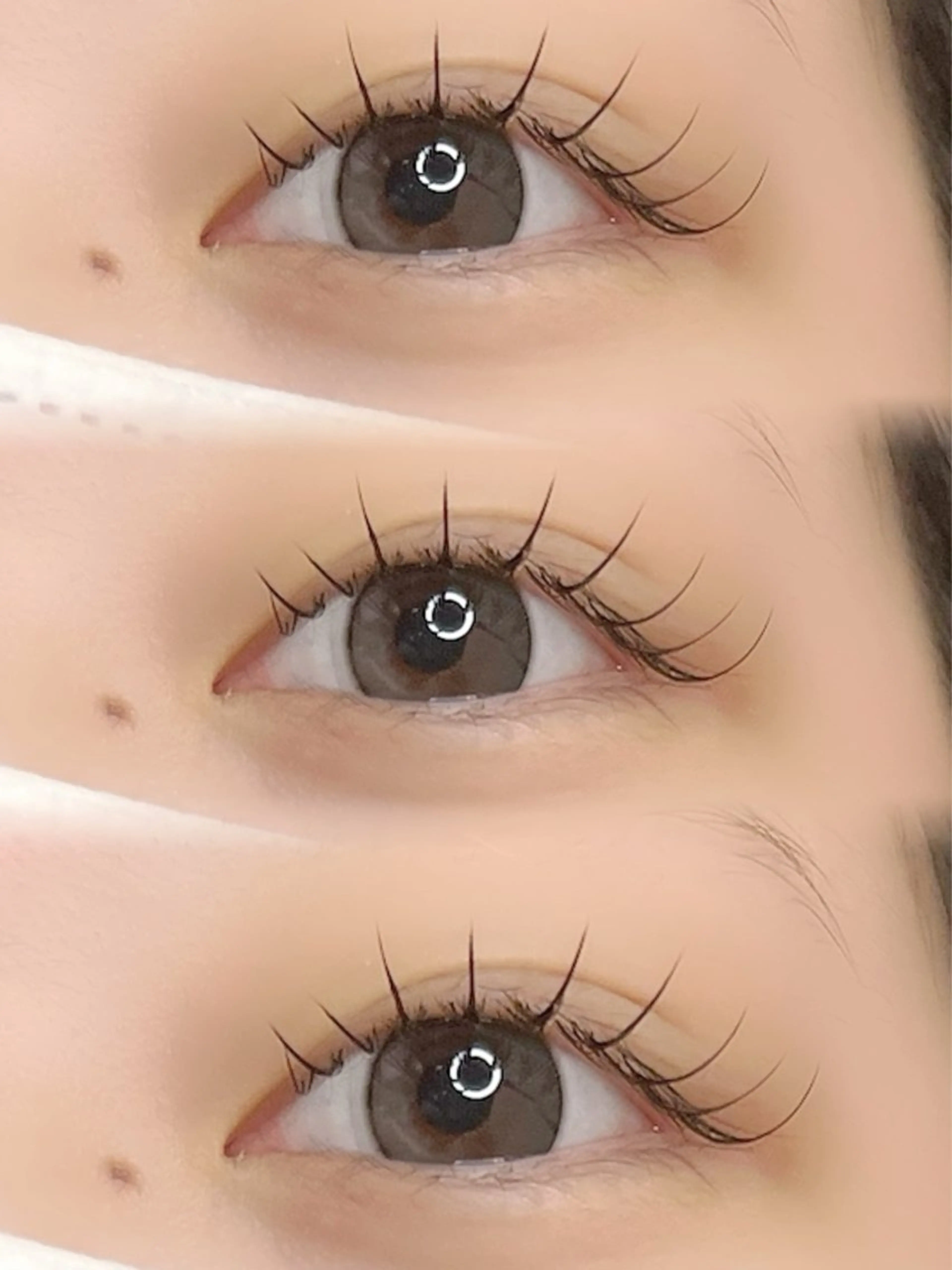 【期間限定】🎀flat lash120本まで🎀ご新規様オフ無料✨の写真