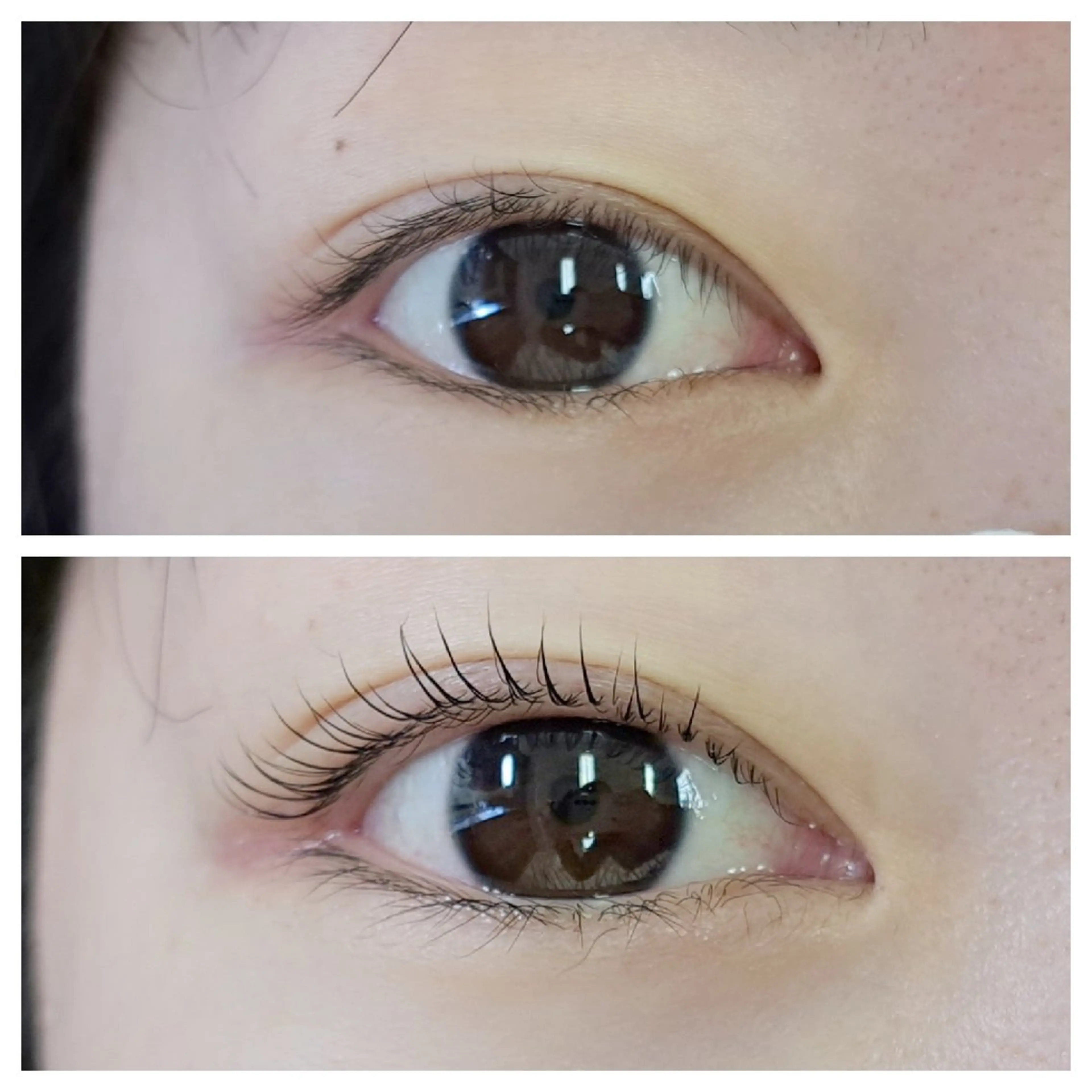 マツエク・マツパ cocolash　町屋店所属・cocolash 🧸のマツエク・マツパデザイン