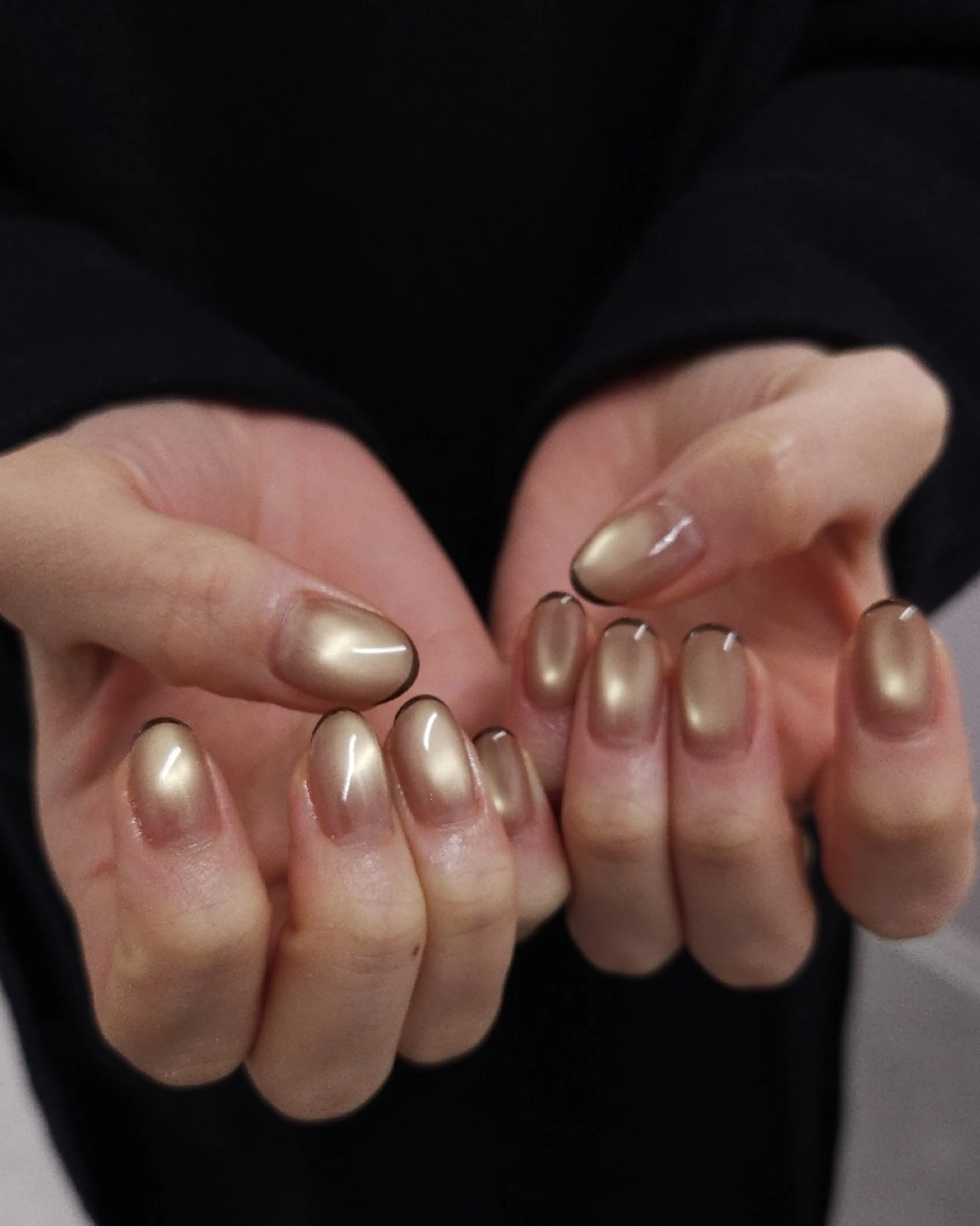 ネイル フレンチネイル ジェルネイル マグネットネイル パラジェル 冬ネイル ハンドネイル puku nail 🌼kazu🌼のネイルデザイン