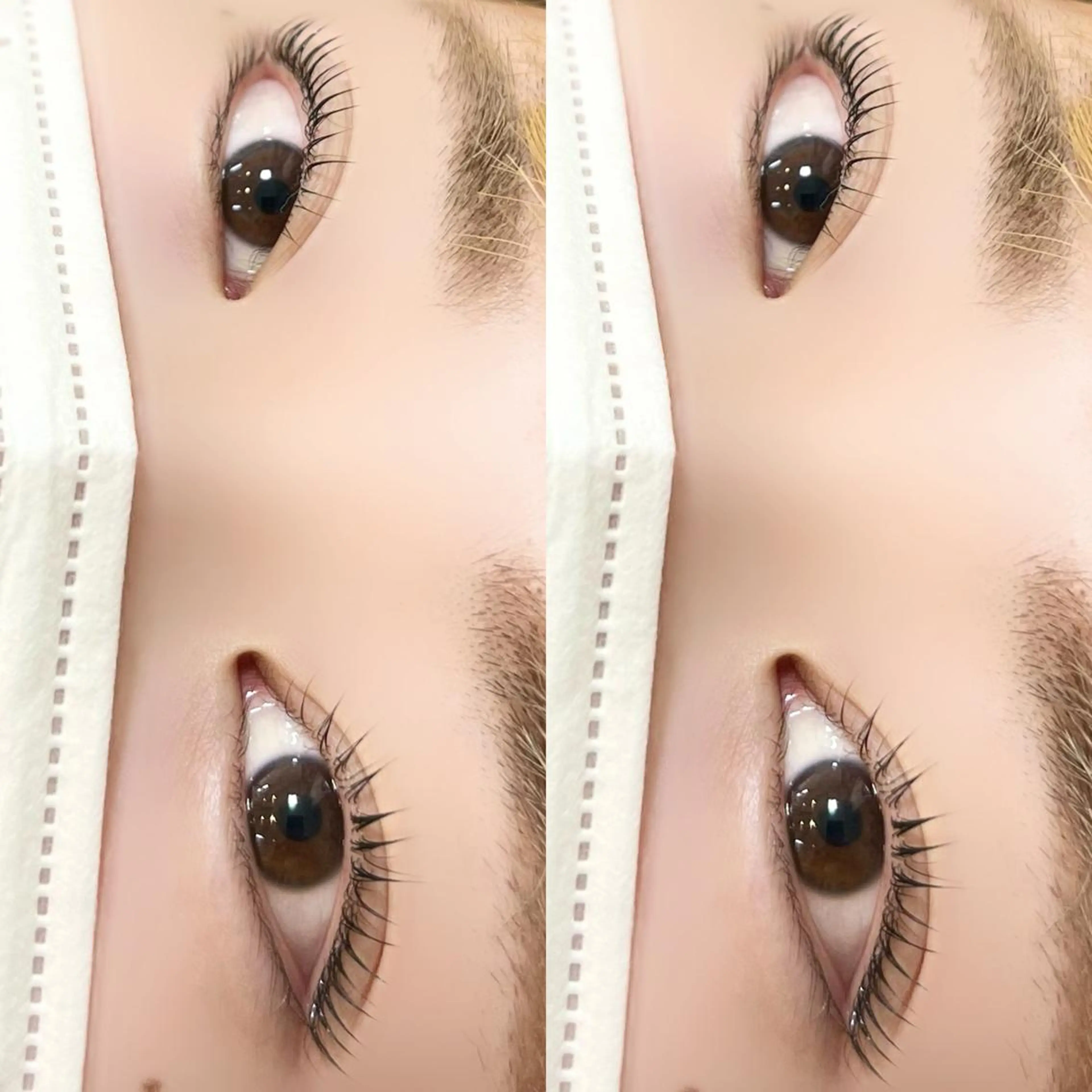 マツエク・マツパ パリジェンヌラッシュリフト マツパ 【myonsil】 Suzuki*のマツエク・マツパデザイン