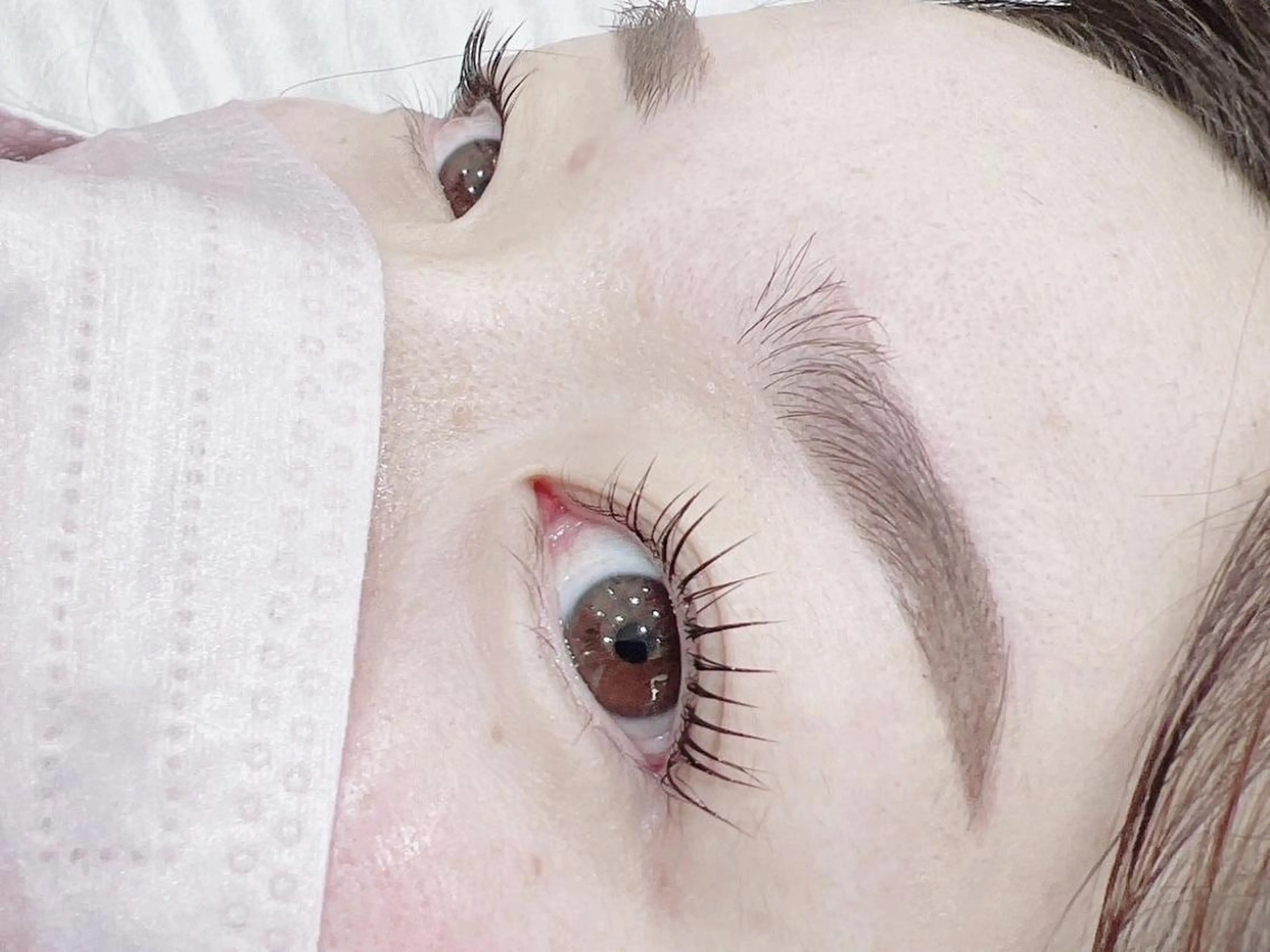 上下パリジェンヌor上下オーダーラッシュリフトの写真