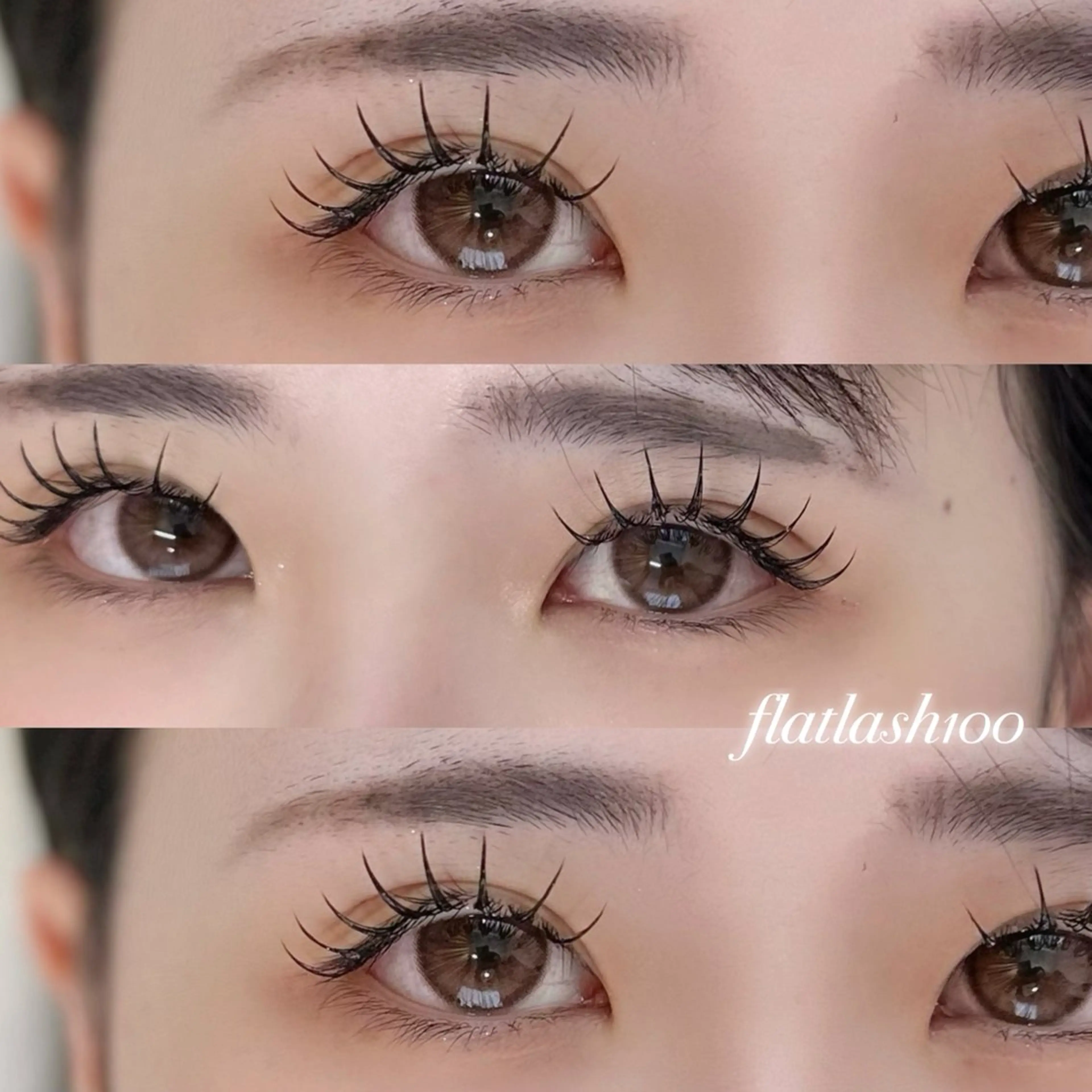 《12月限定♡人気No.1 》マツエク100本+束感コーティング🦢の写真