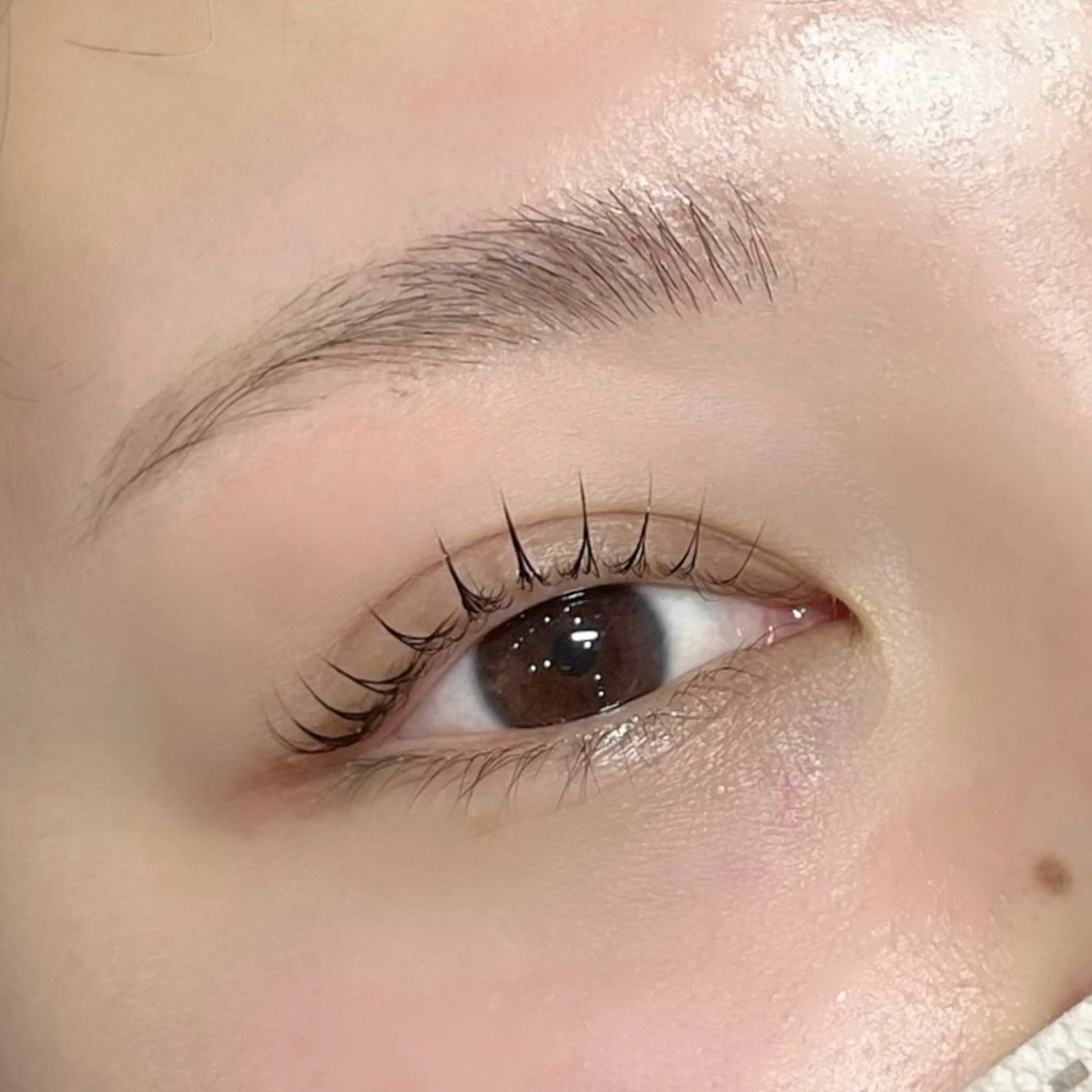 マツエク・マツパ バインドロック フラットラッシュ まつげパーマ セーブル マツパ 🩶バインドロック まつパ🩶由佳の眉毛・アイブロウイメージ