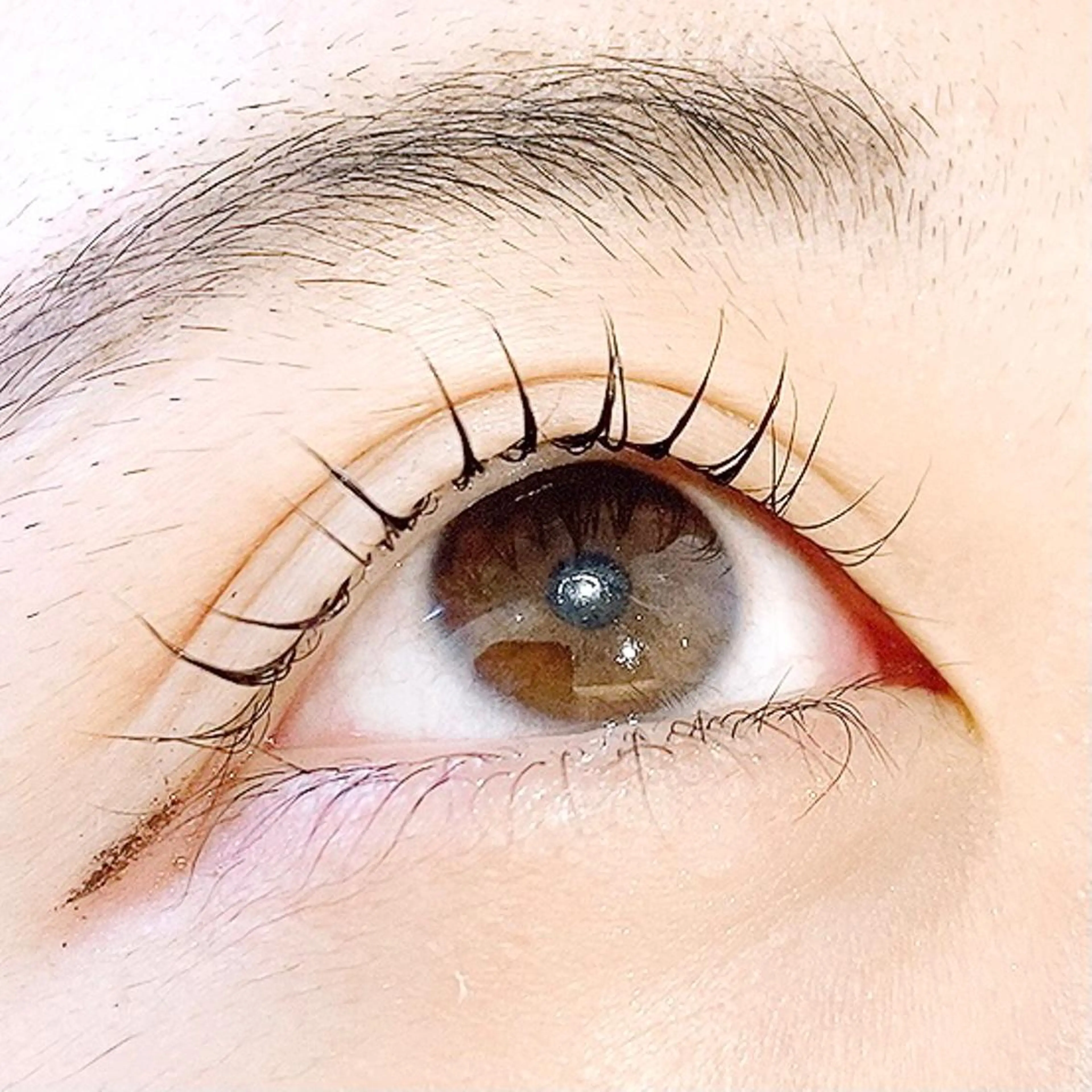 マツエク・マツパ パリジェンヌラッシュリフト ✧elpatio✧︎ 小出紗羅のマツエク・マツパデザイン