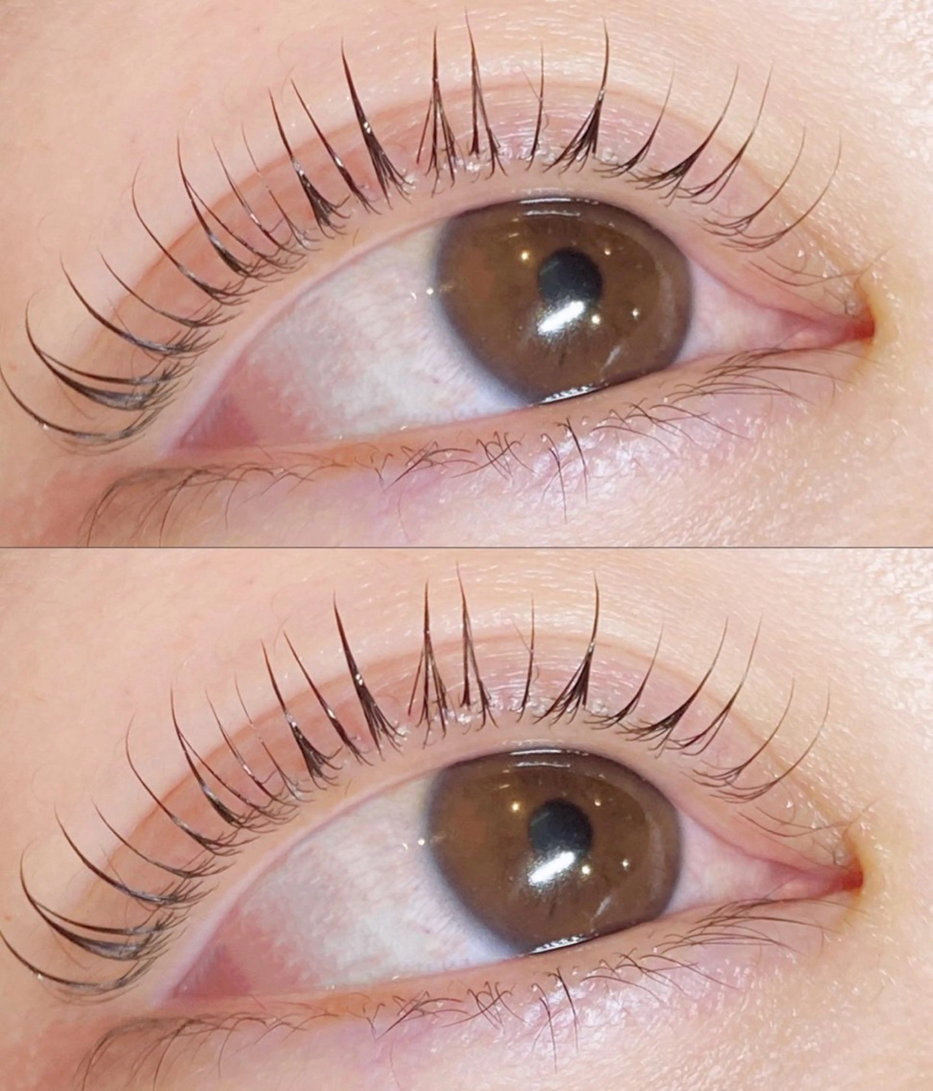 マツエク・マツパ マツパ eyelist🌹 Harunaのマツエク・マツパデザイン