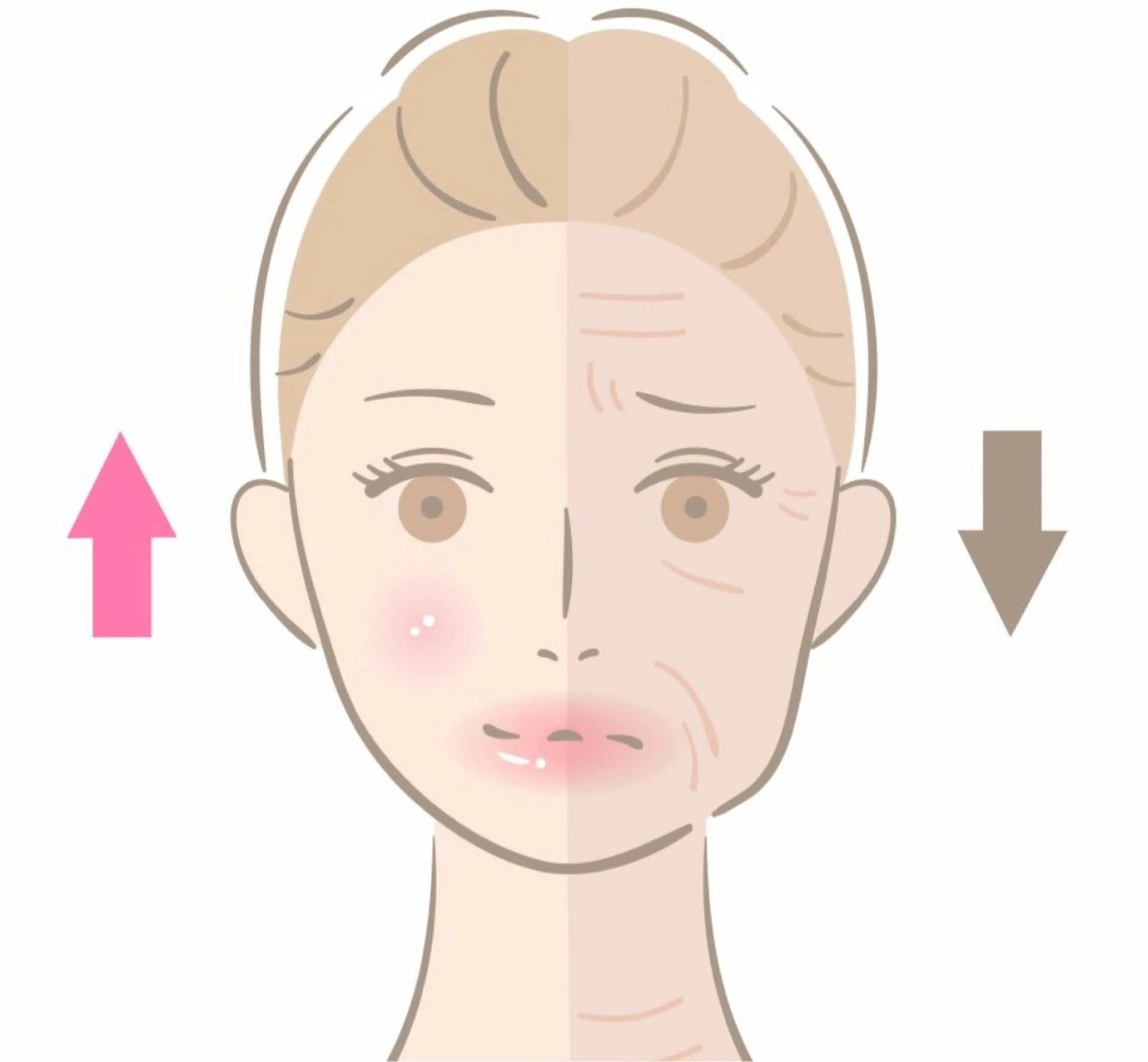 【シワたるみが気になる方に】ハリツヤアップ⤴️エイジングケア美肌コースの写真