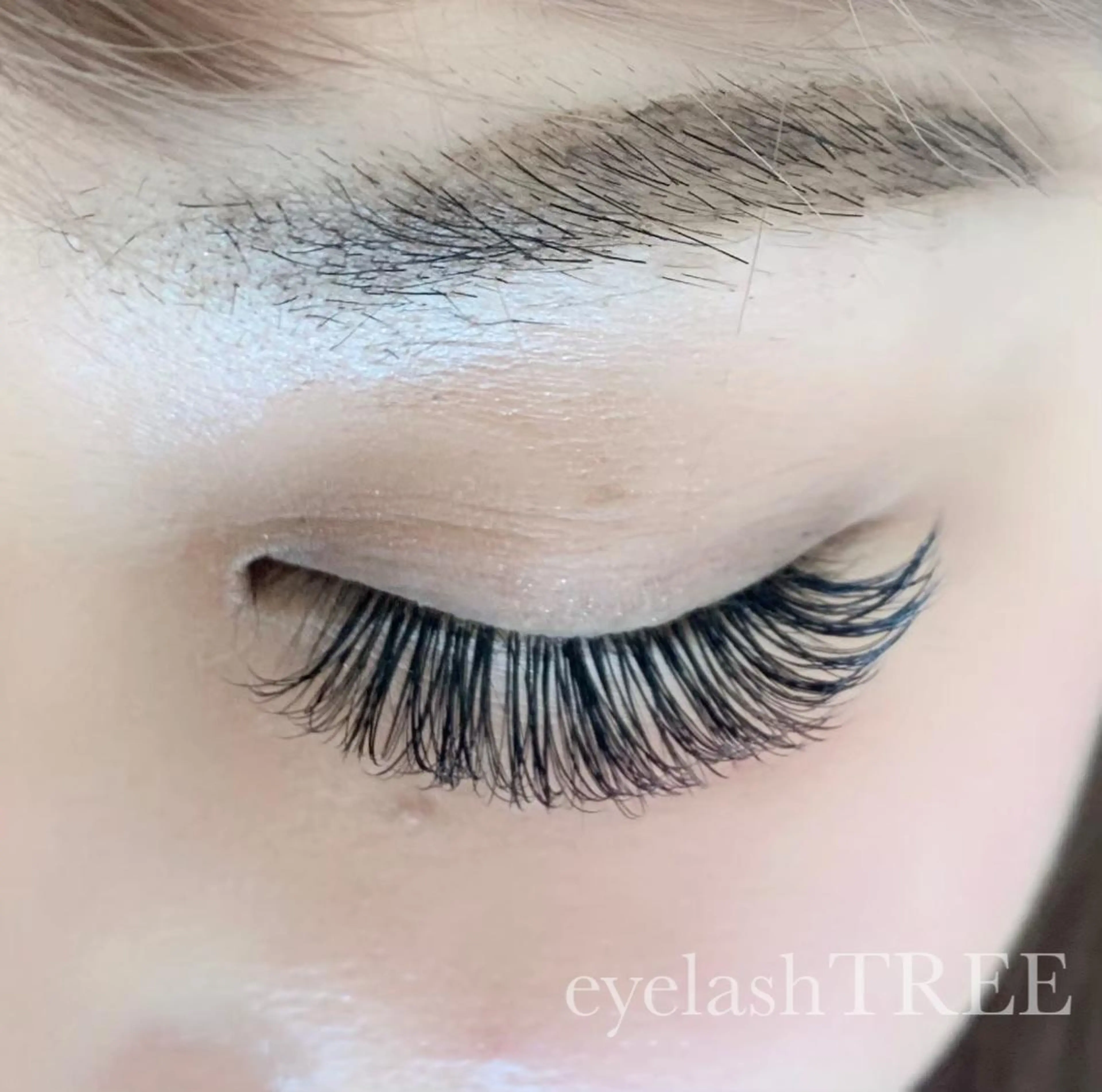 マツエク・マツパ ボリュームラッシュ まつげ、毛穴 TREEのエステ・リラクイメージ