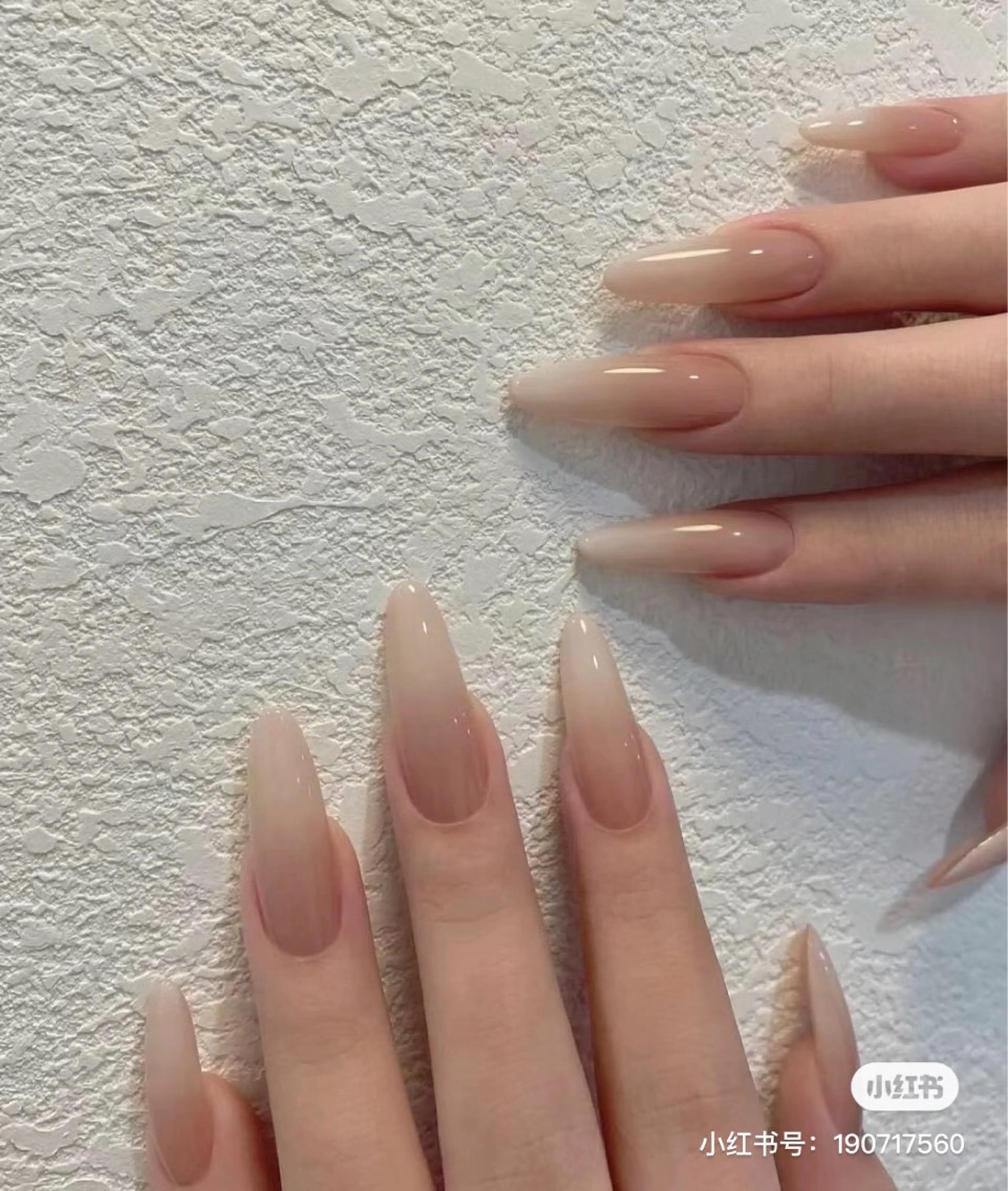 グラデーション➕チップ長さ出しの写真