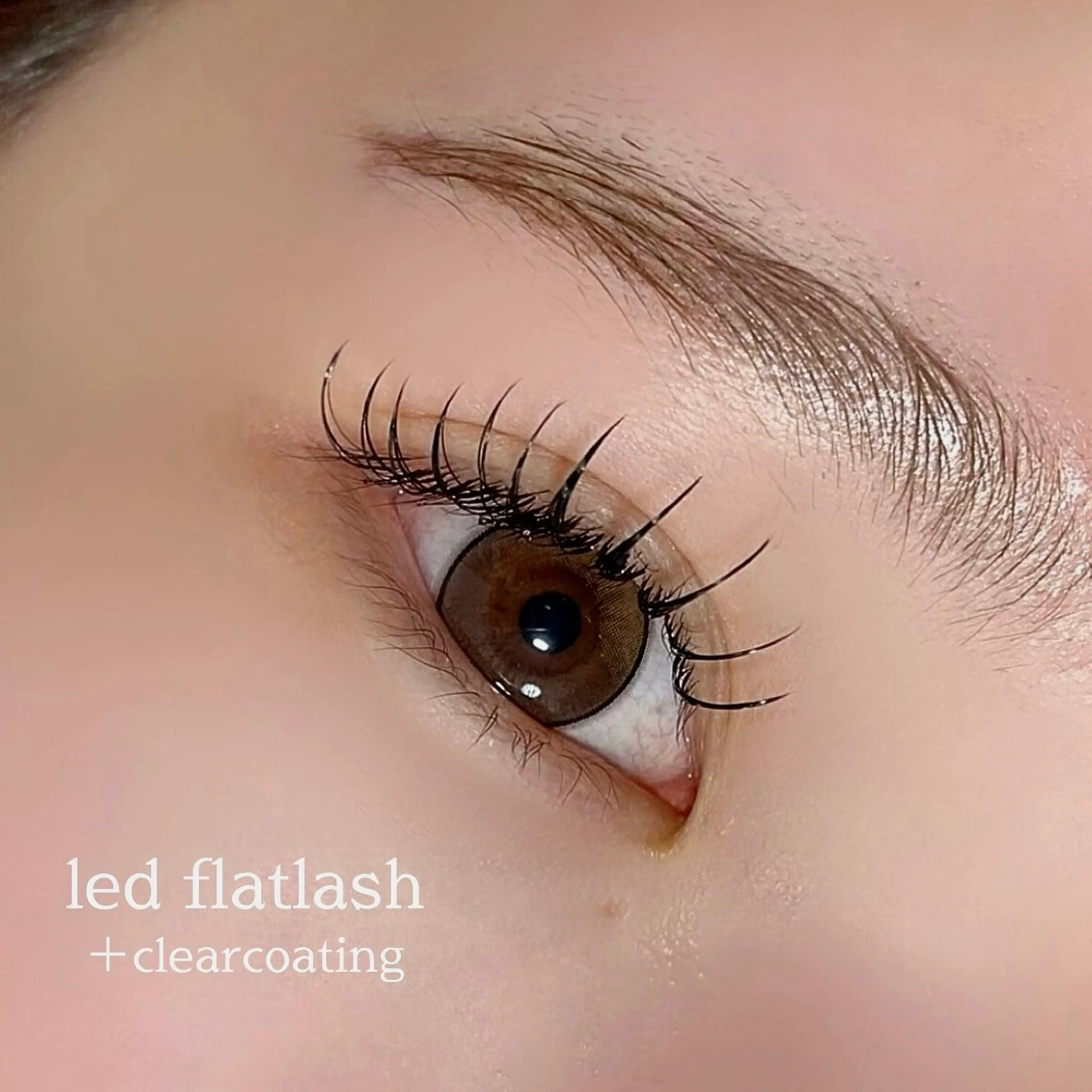 マツエク・マツパ マツエク MU-TE eyelashのマツエク・マツパデザイン