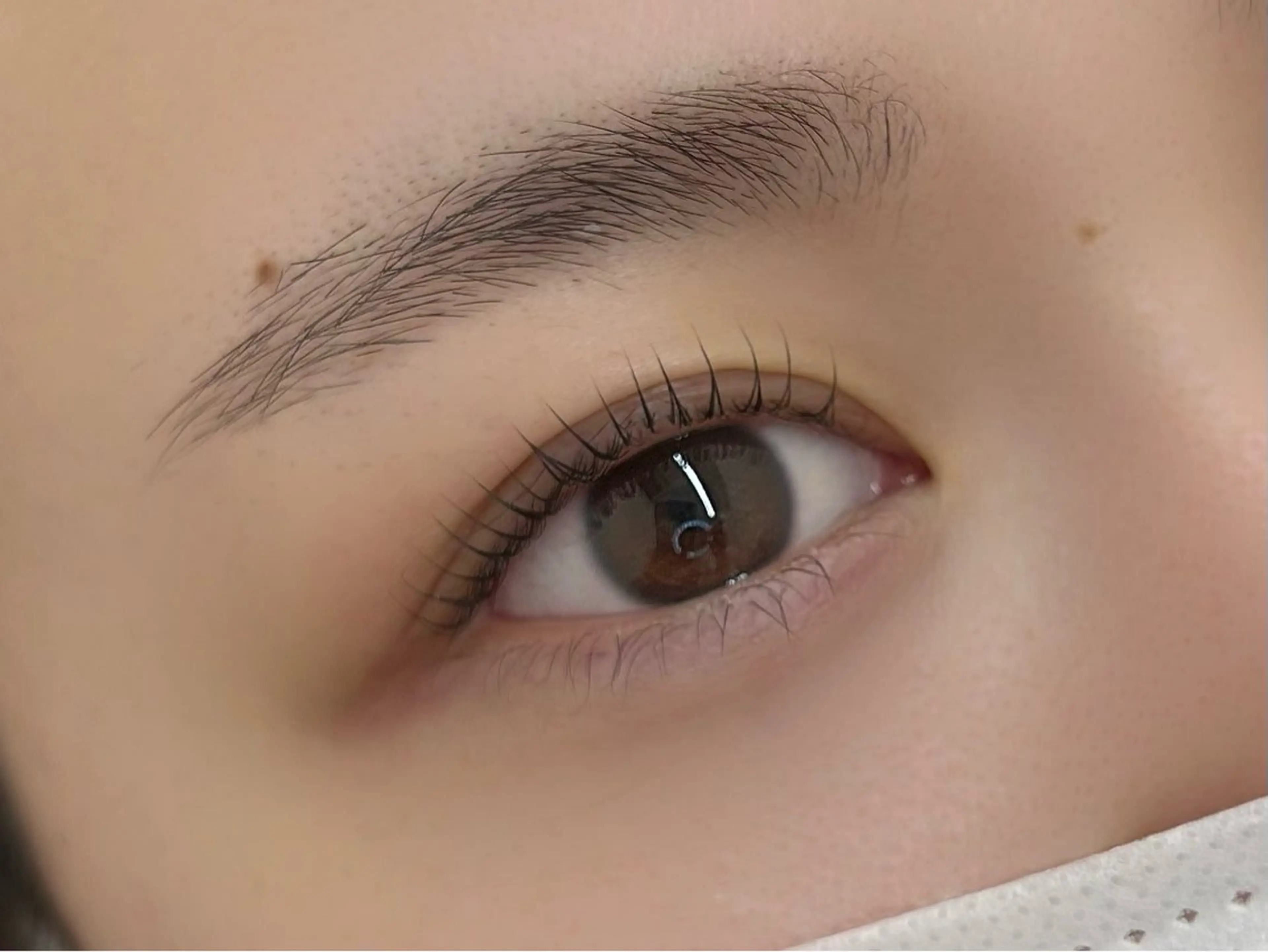 マツエク・マツパ Nari所属・Jr. Nariの眉毛・アイブロウイメージ