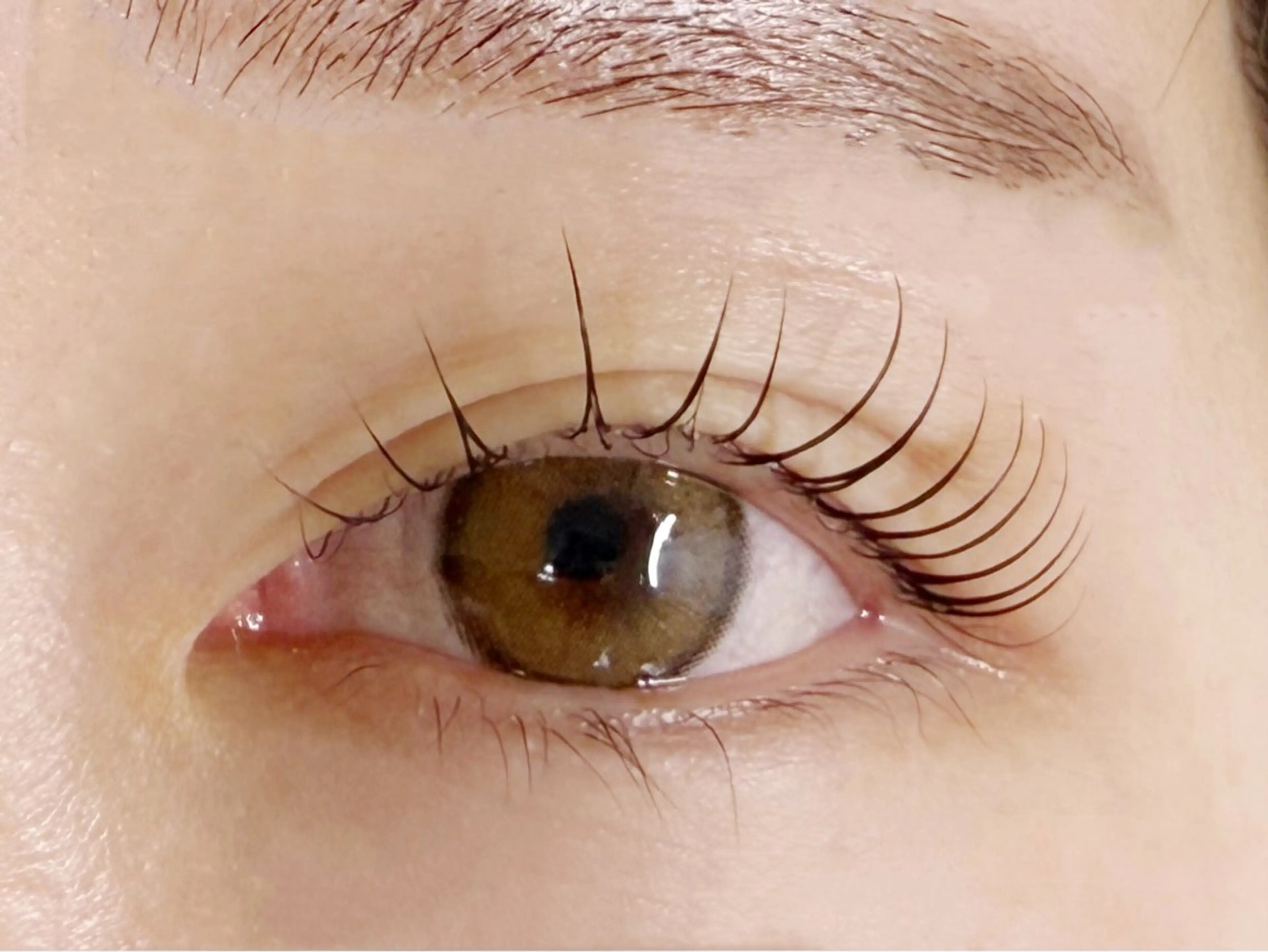 マツエク・マツパ miyu 🐈のマツエク・マツパデザイン