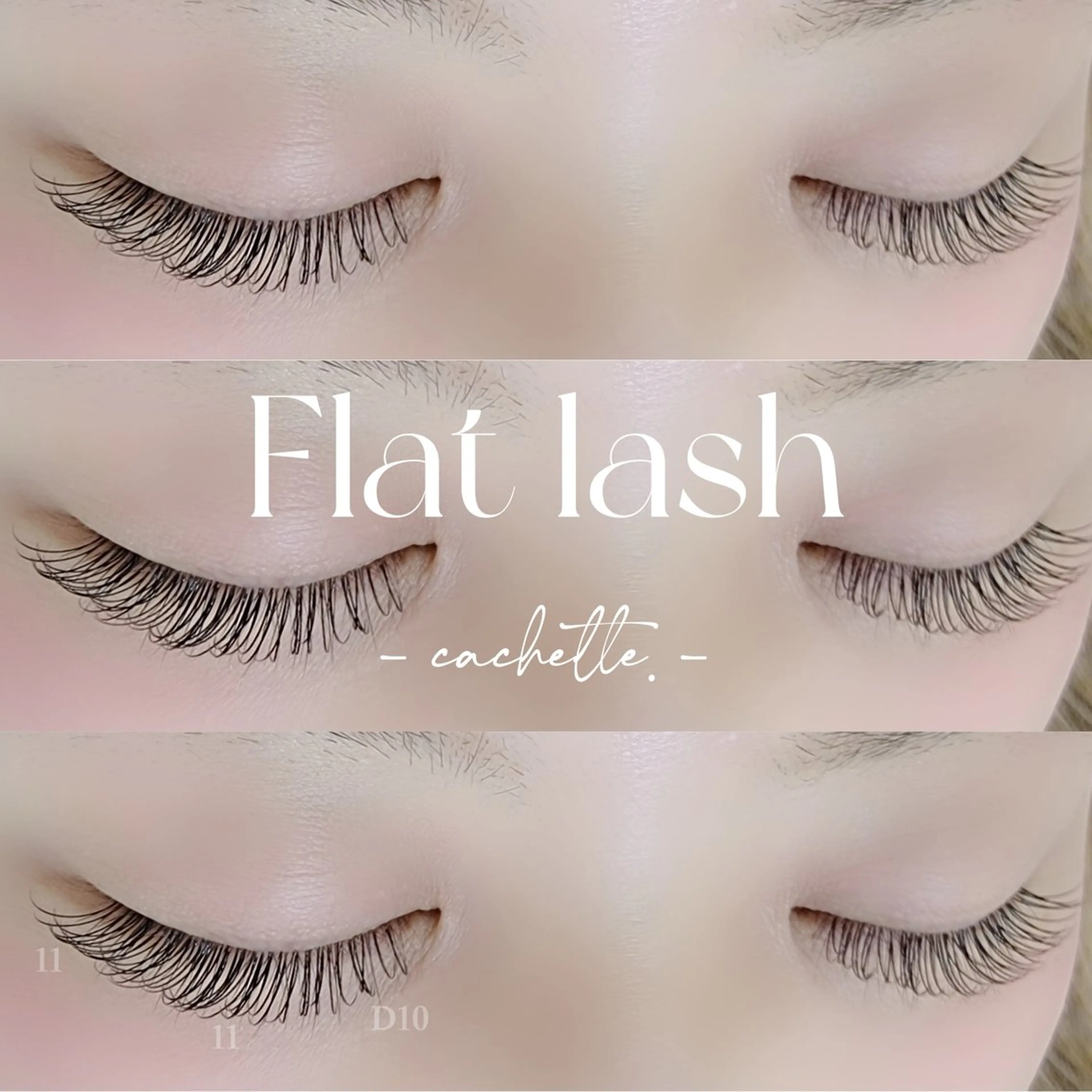 💖フラットラッシュ100本！の写真