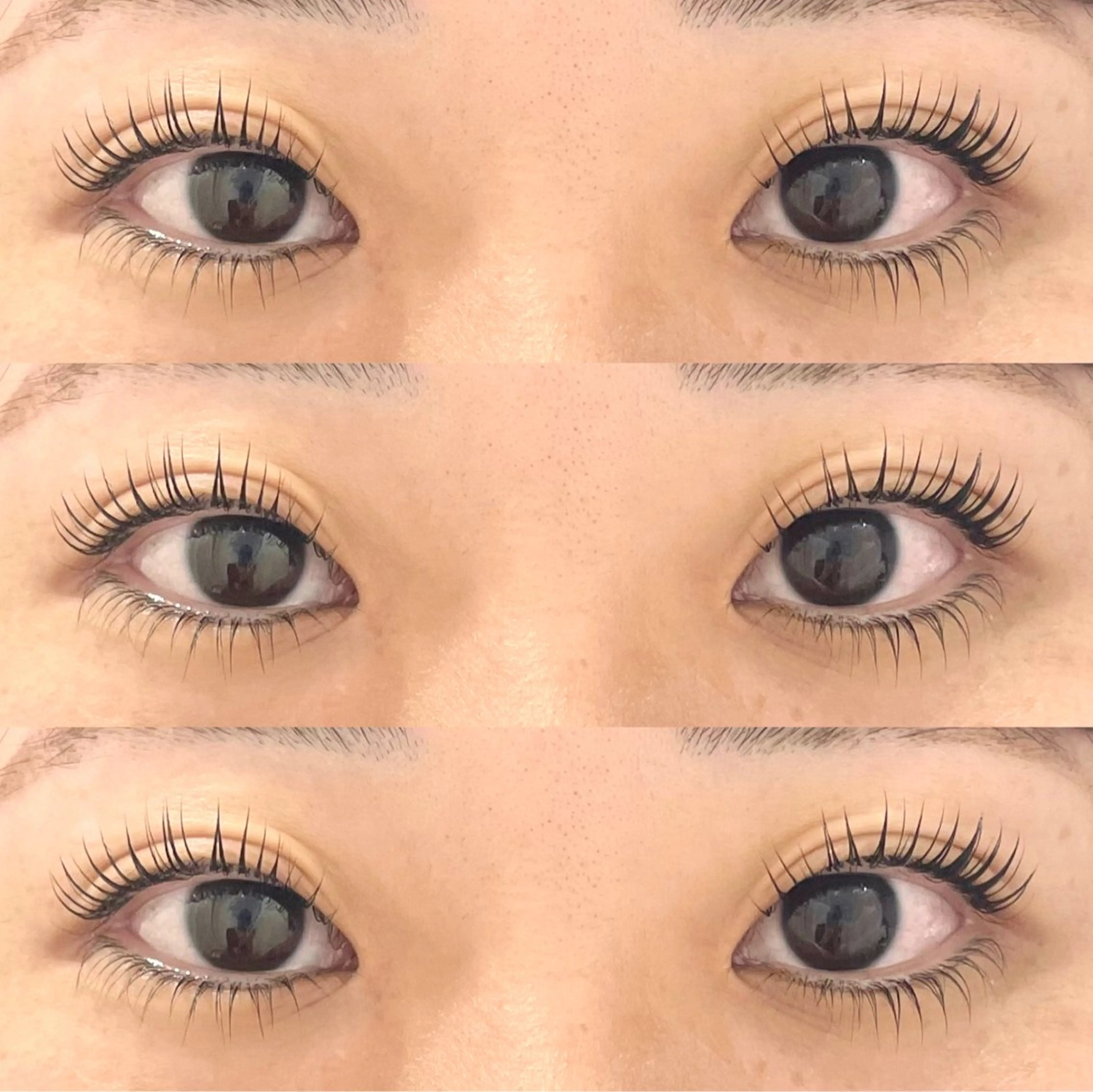 ✨🎀次世代まつ毛パーマ　上下🎀✨の写真