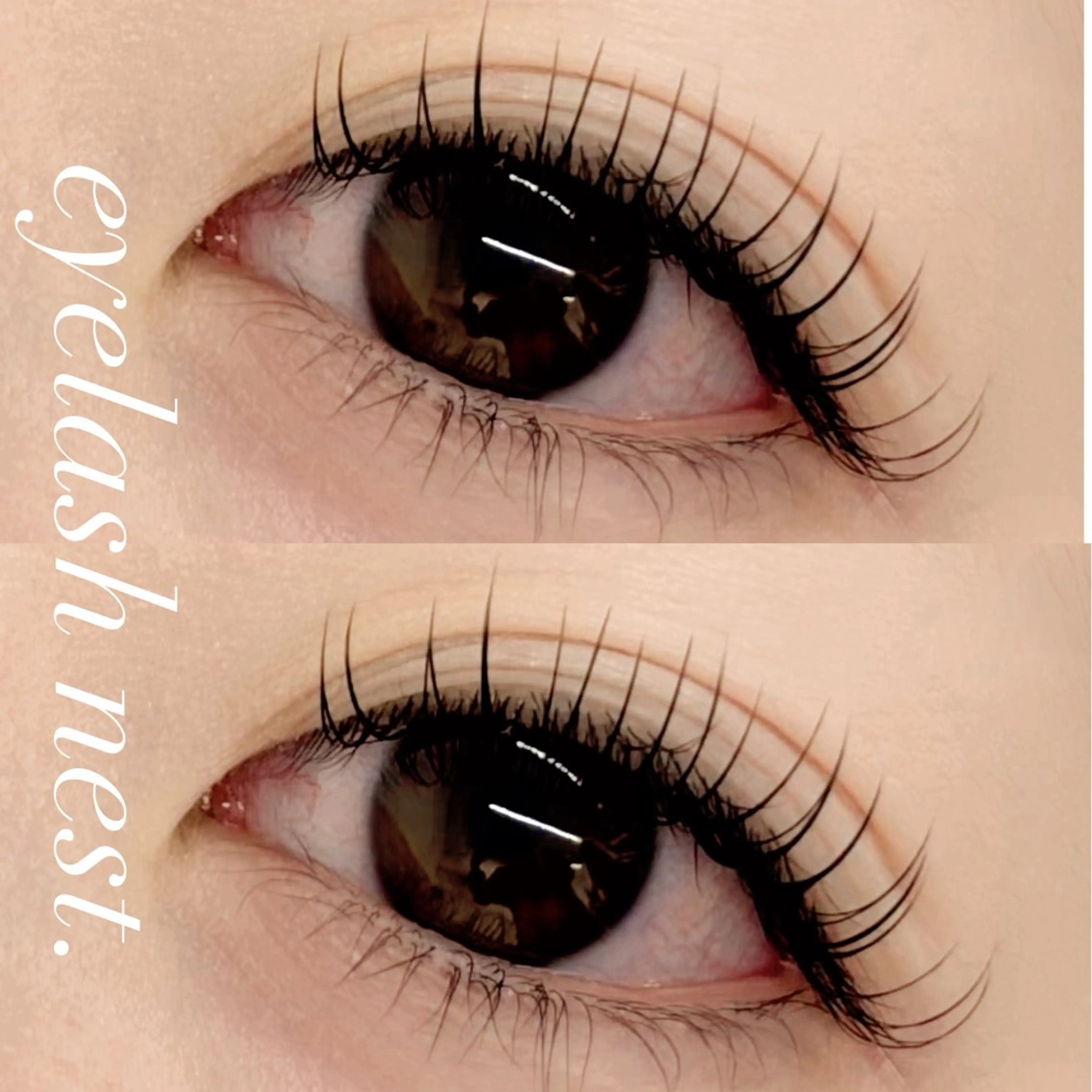 【ご新規様限定🎀】フラットラッシュ120本まで(オフ込)+美容液コーティング付の写真