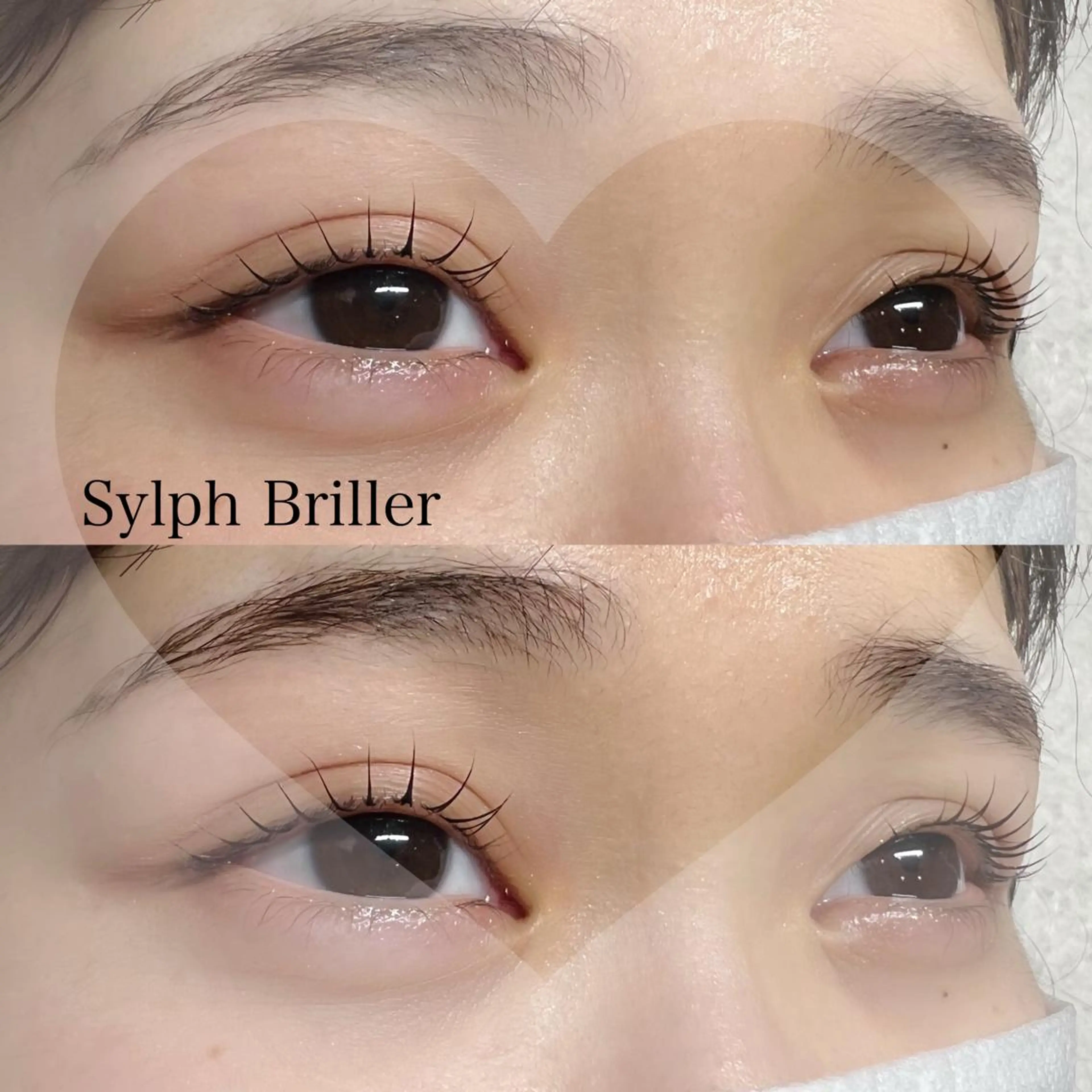 マツエク・マツパ バインドロック 束感まつ毛 フラットラッシュ 韓国風マツエク パリジェンヌラッシュリフト eternite イトウのマツエク・マツパデザイン