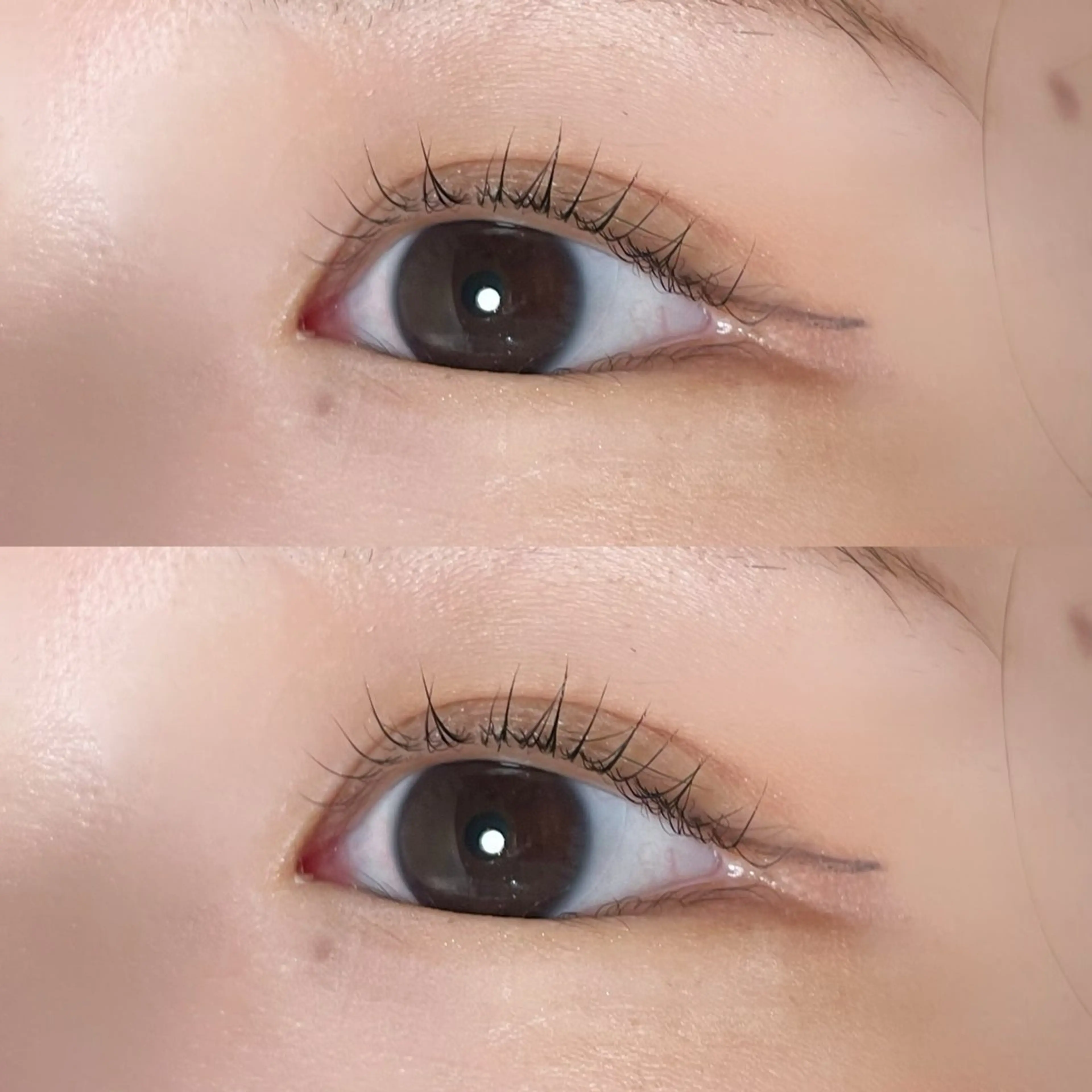 マツエク・マツパ マツパ Ayumi.dre 🌸Y《2階》のマツエク・マツパデザイン