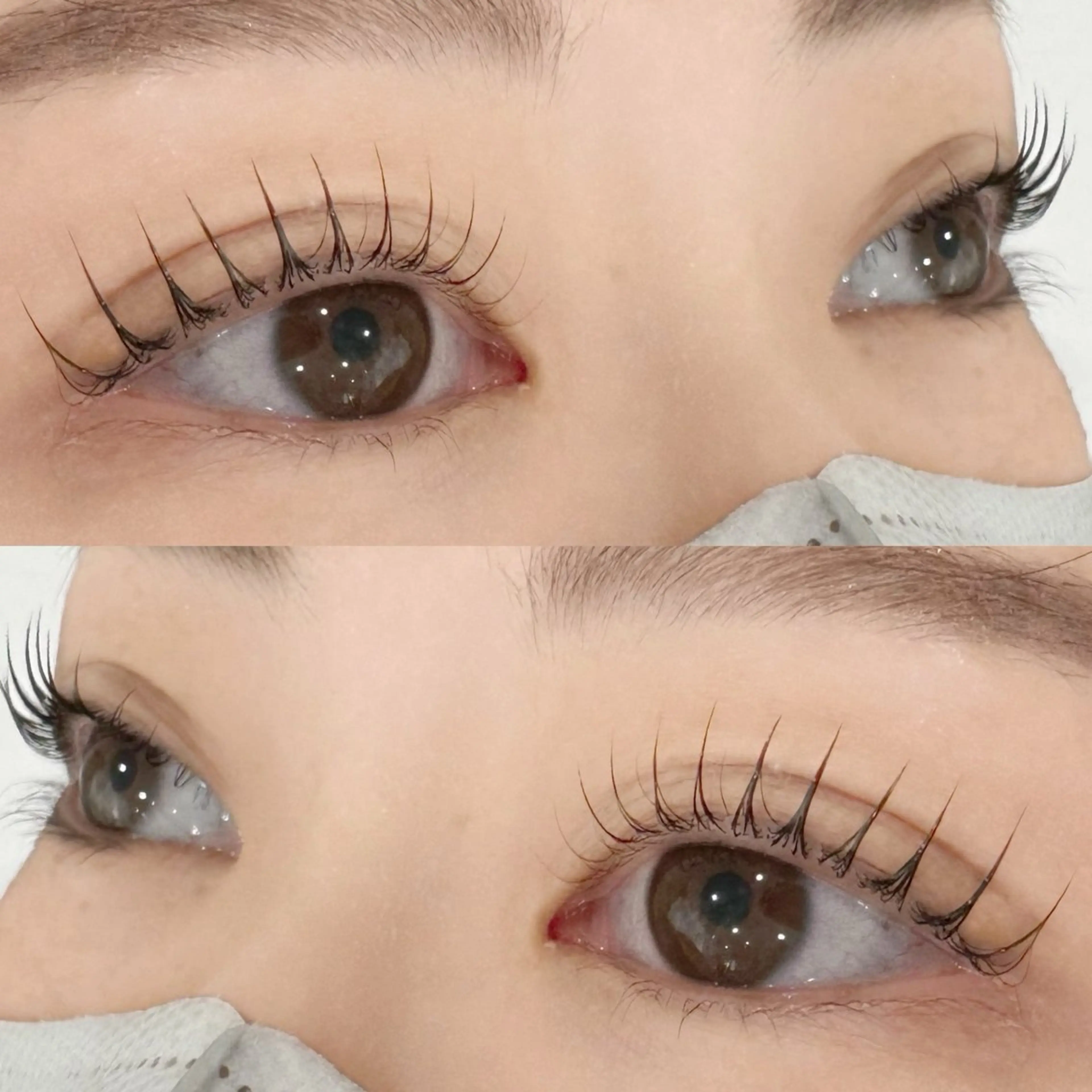 マツエク・マツパ CARO eyelash eyebrow nail所属・🦋CARO🌈 すいづちか🧸✨のマツエク・マツパデザイン