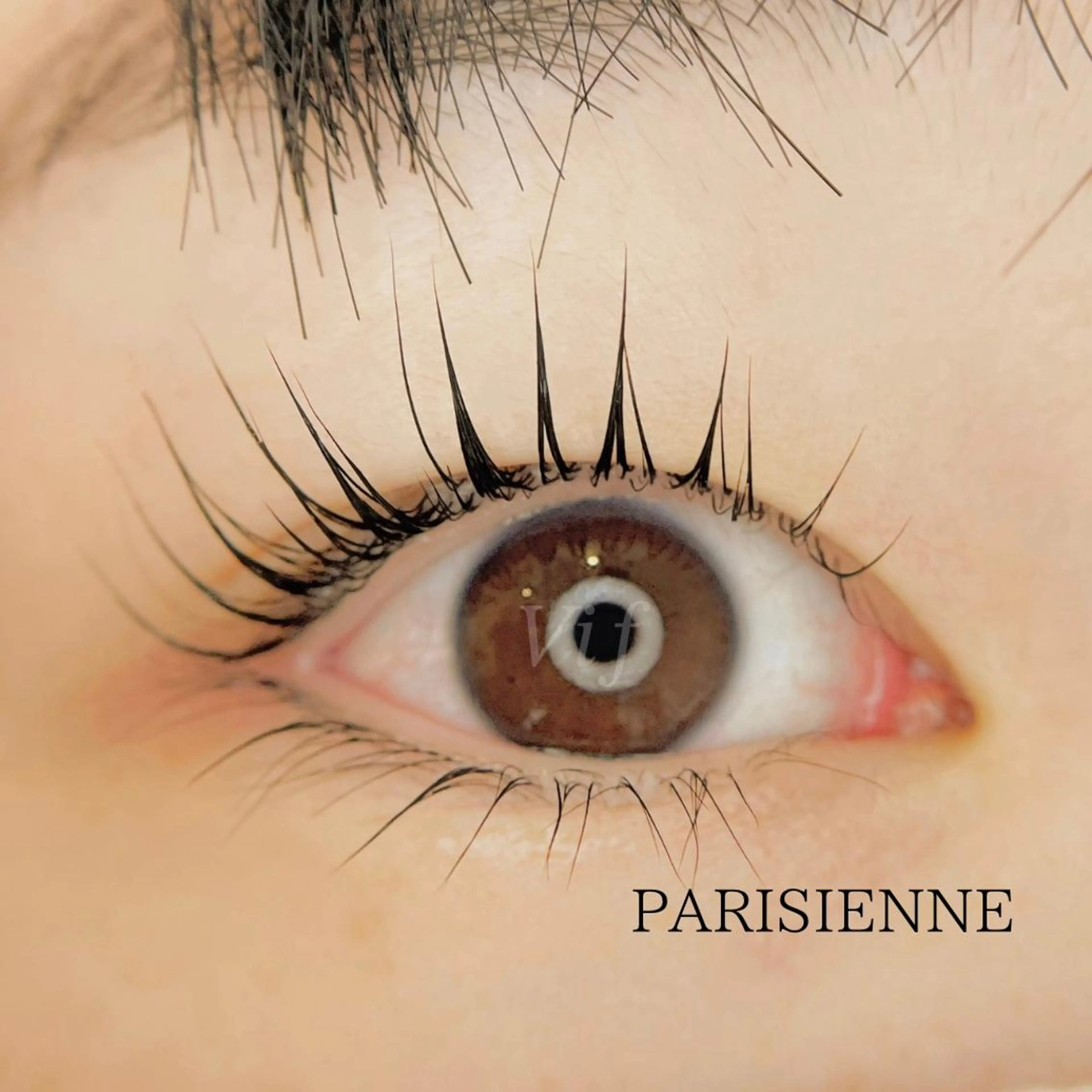 マツエク・マツパ マツパ Vif【ヴィフ】所属・【 Vif 】 SHIORIのマツエク・マツパデザイン