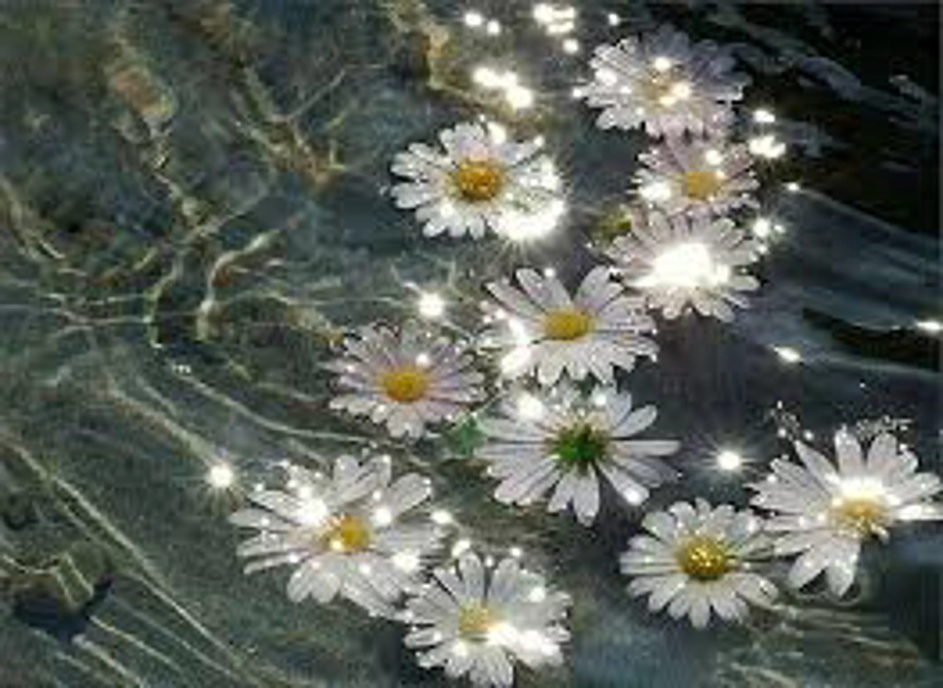 🌼二本柳 🌼のヘアスタイル