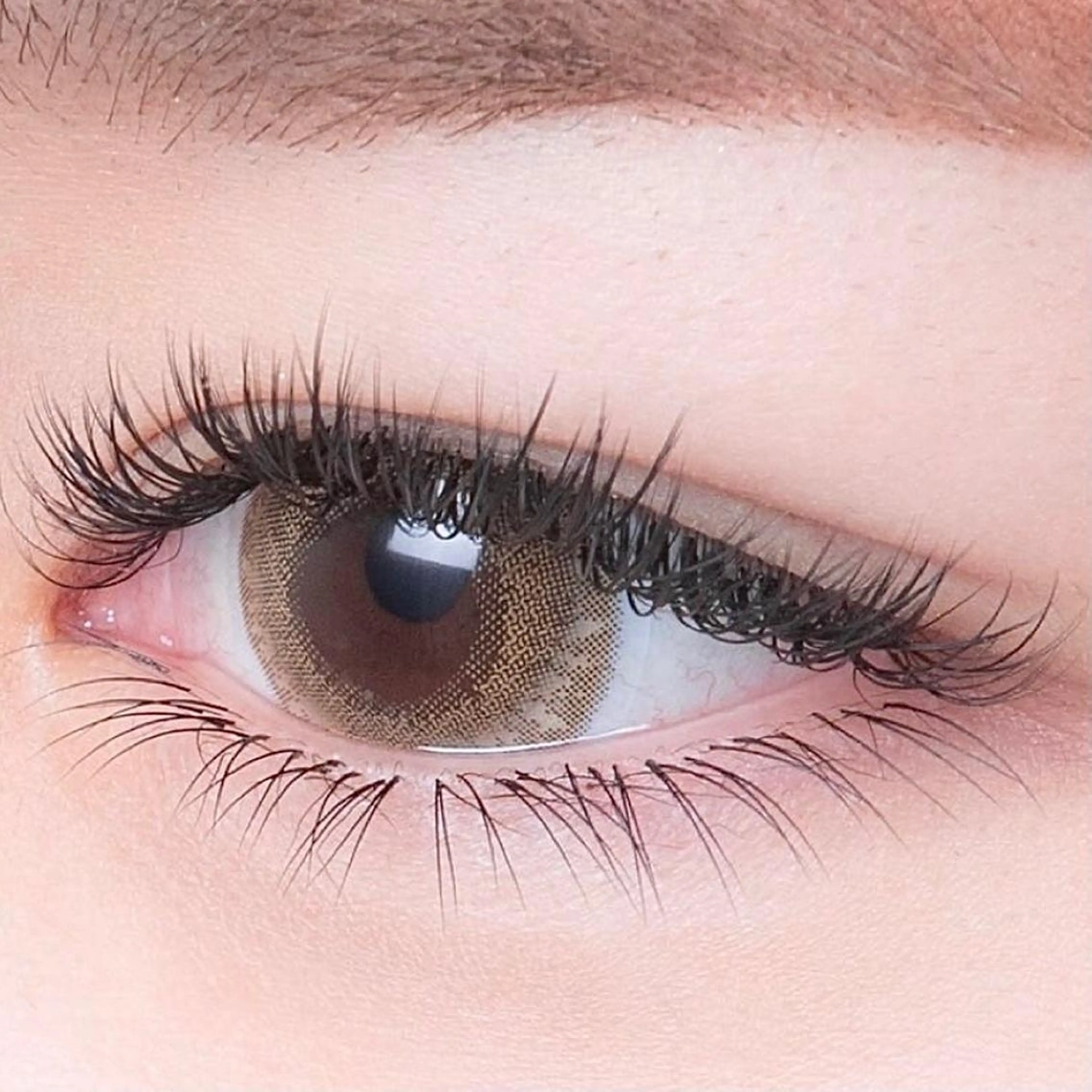 初回オフ¥0◇バインドロック◇100束 75分¥8500の写真