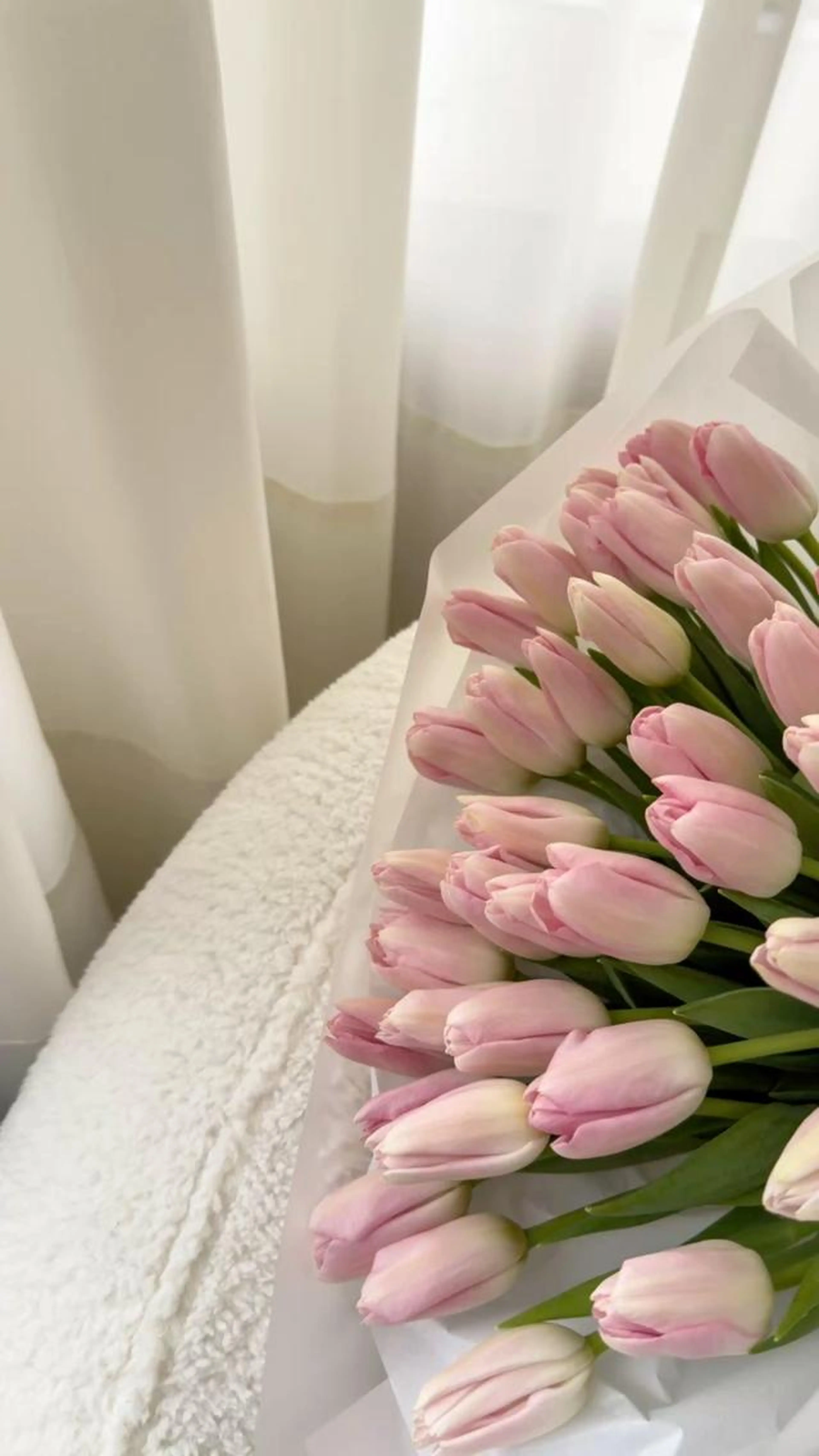 🎀3月限定🎀ネイルオフ+甘皮ケア【仕上げ付き】✨️jr Nailist担当✨の写真