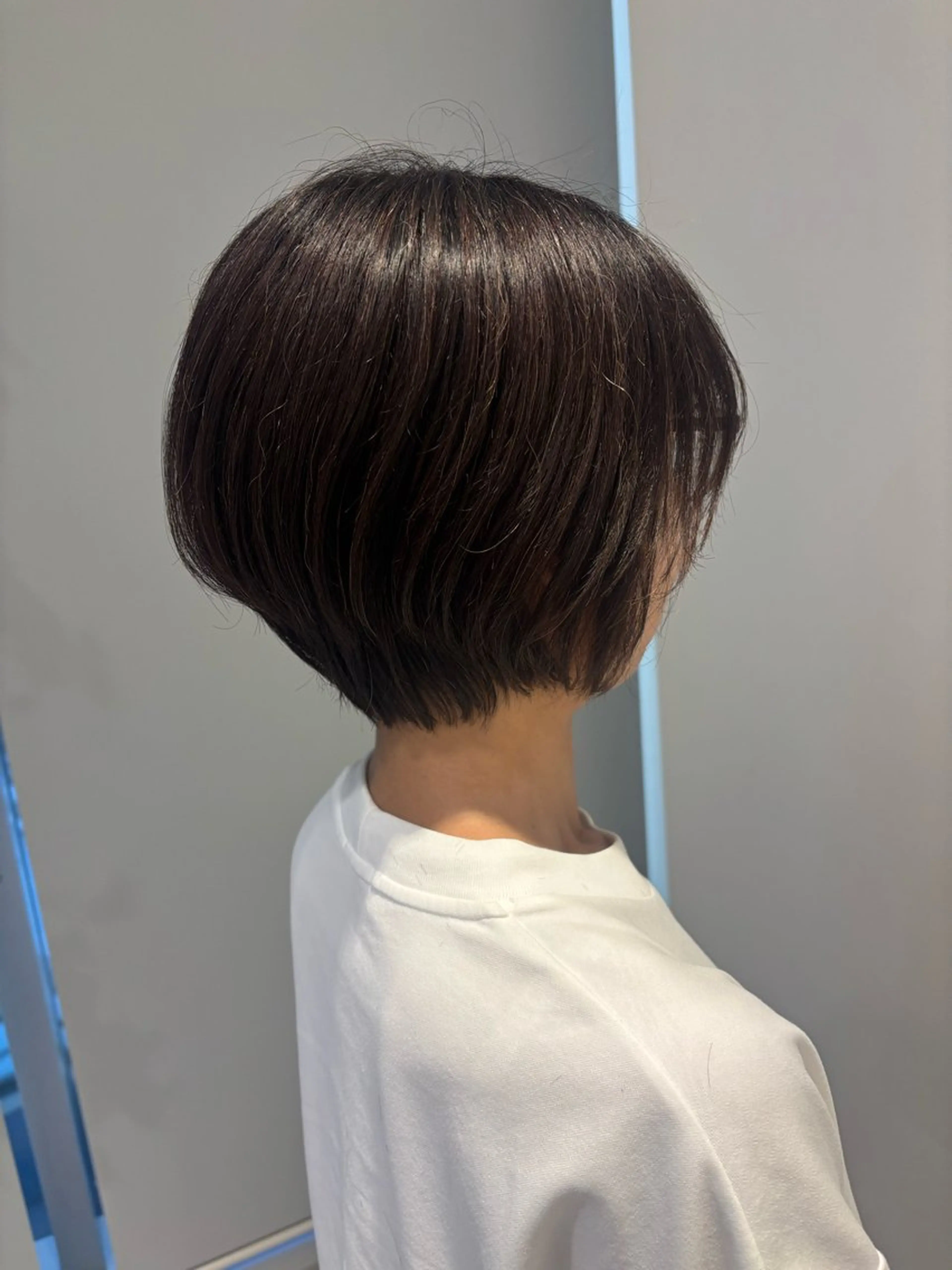 ショート 堀 ゆきみのヘアスタイル