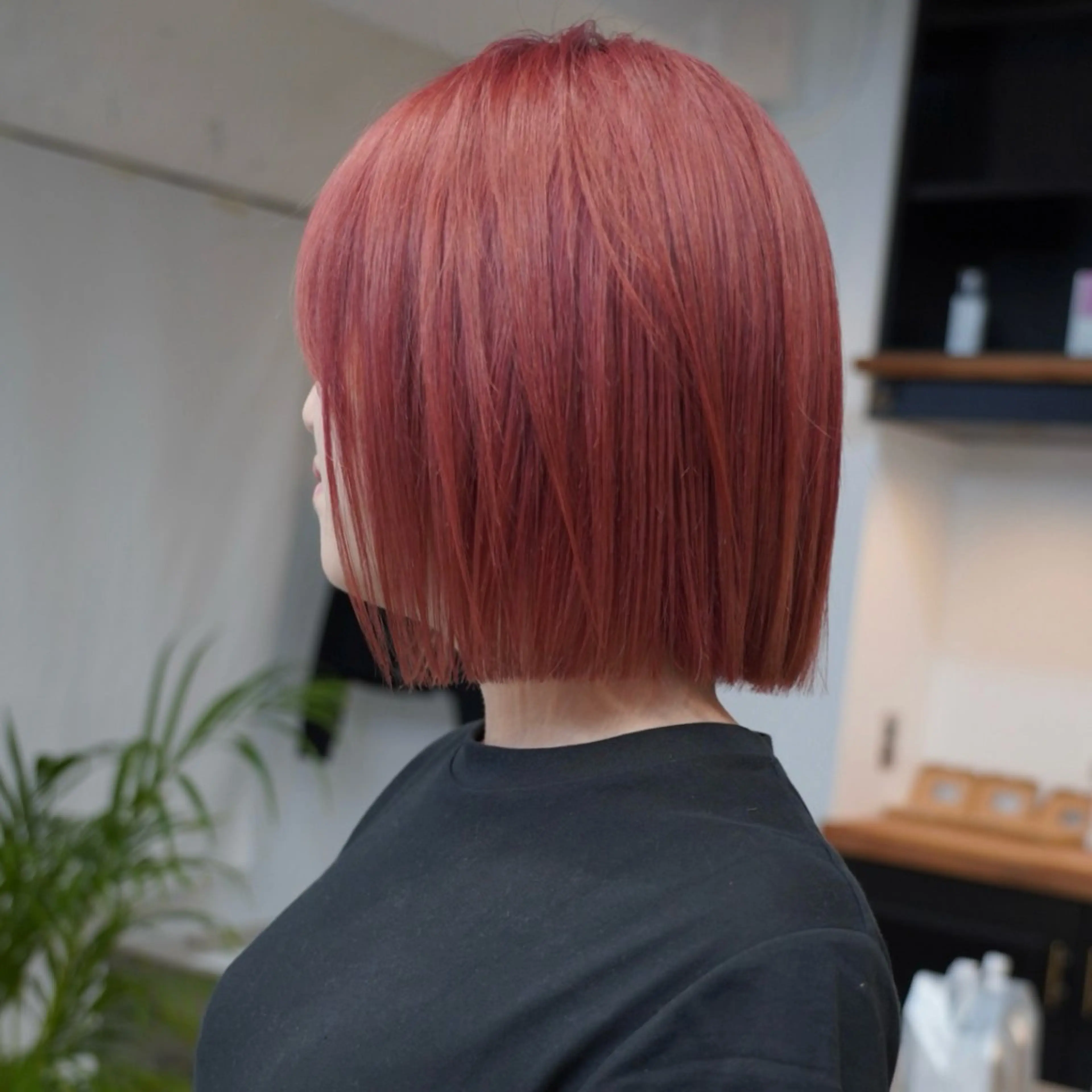 🌈ケアブリーチダブルカラー➕リペアトリートメント🌈ダメージレスブリーチカラー🌈の写真