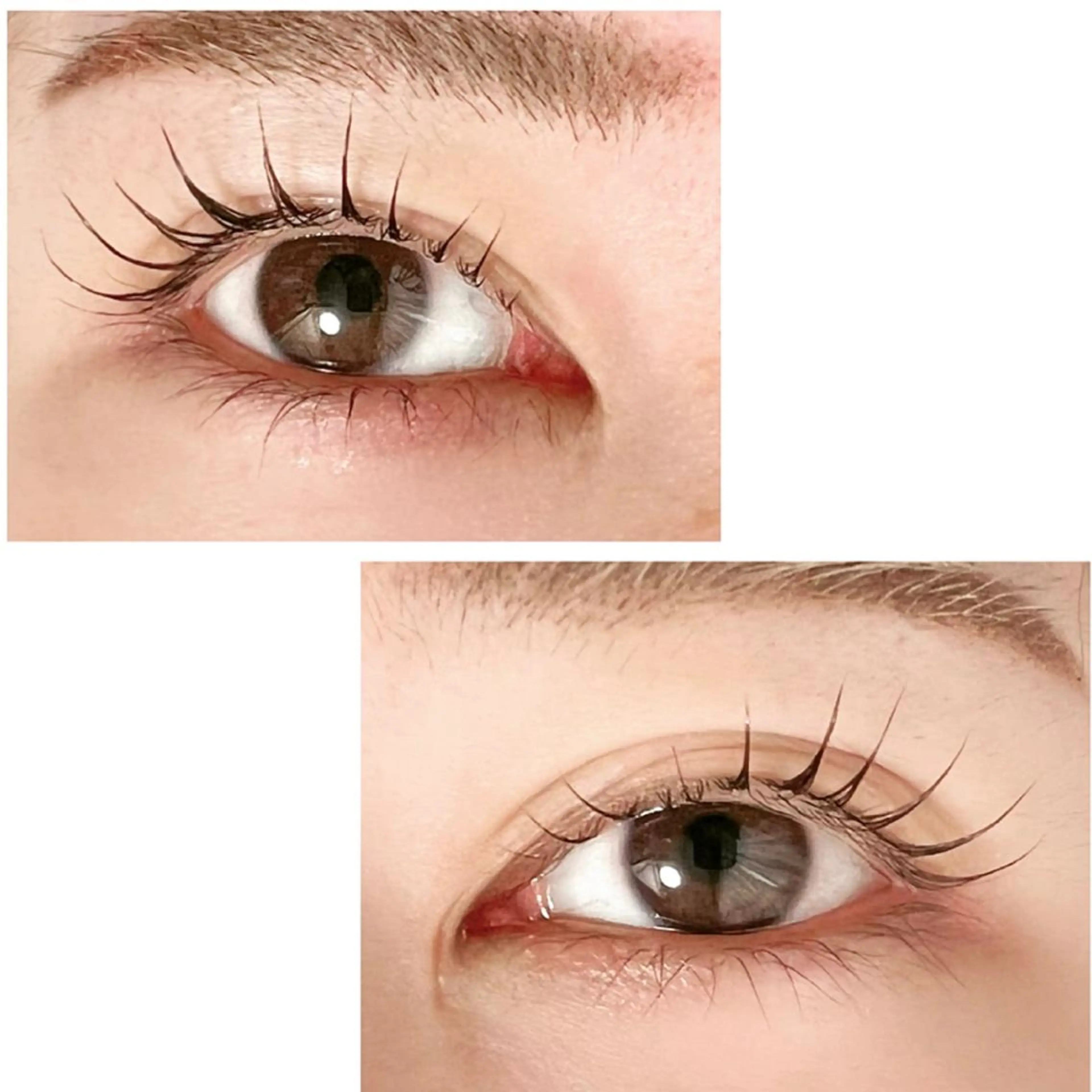 マツエク・マツパ Adorer(アドレ)所属・Adorer 🍀アドレ🍀のマツエク・マツパデザイン